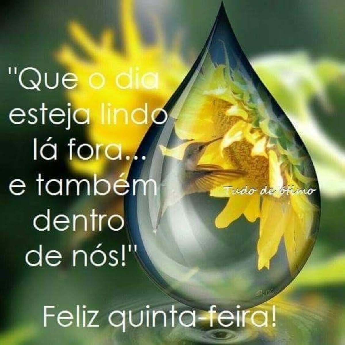 Feliz quinta feira mensagem 231 Feliz quinta feira mensagem 231