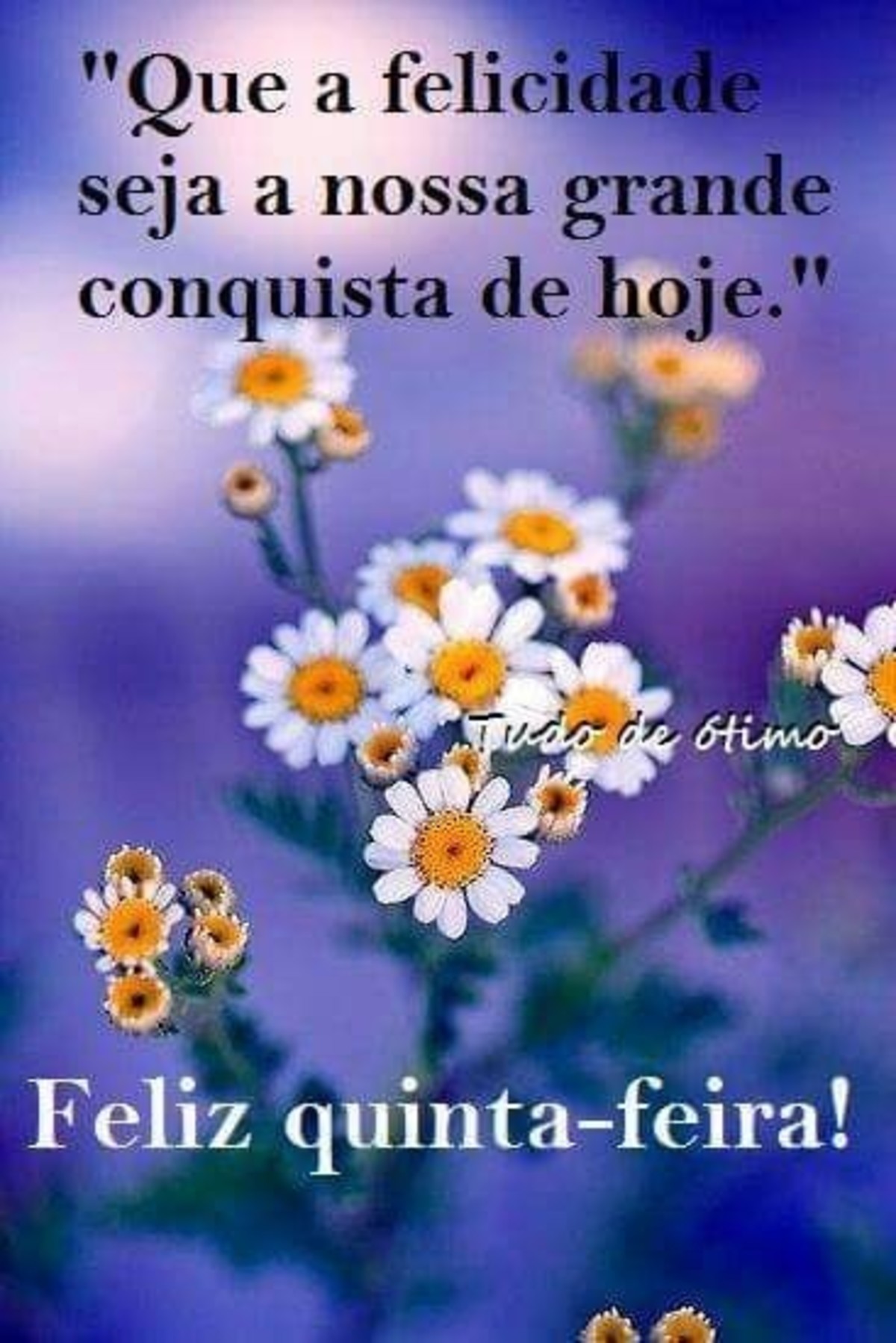 Feliz quinta feira mensagem 233