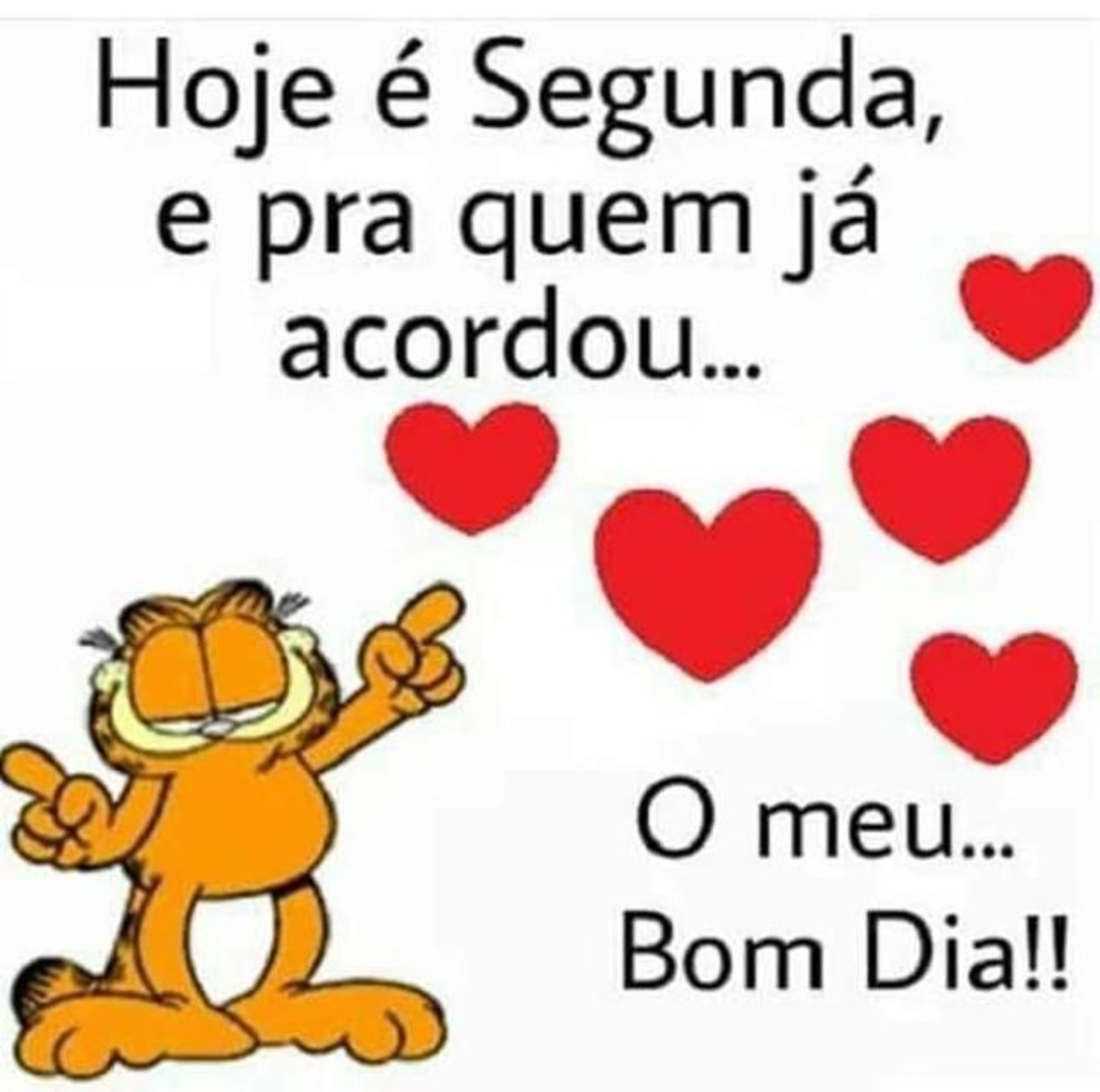 Feliz segunda feira a todos 81