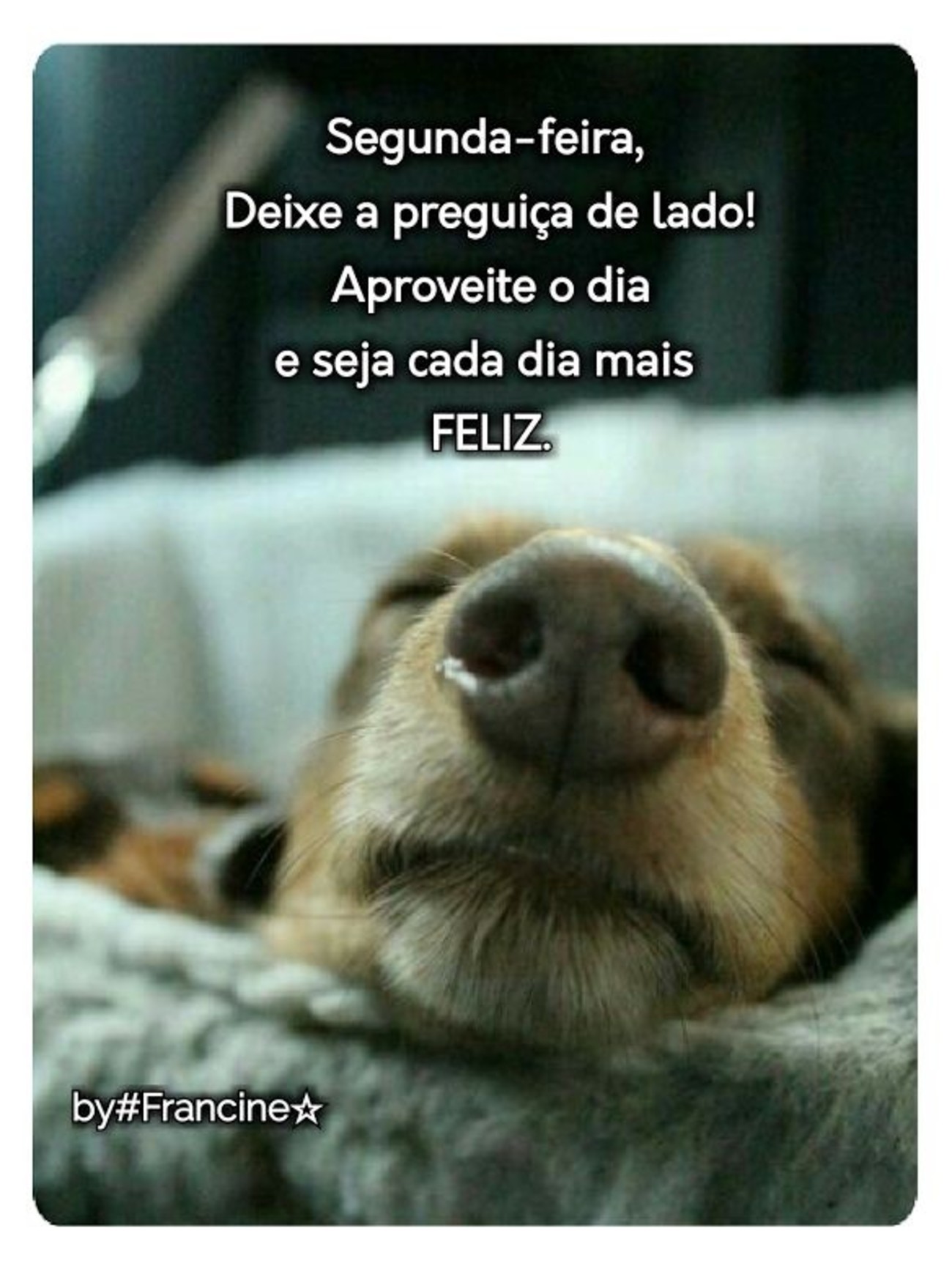 Feliz segunda feira a todos 83