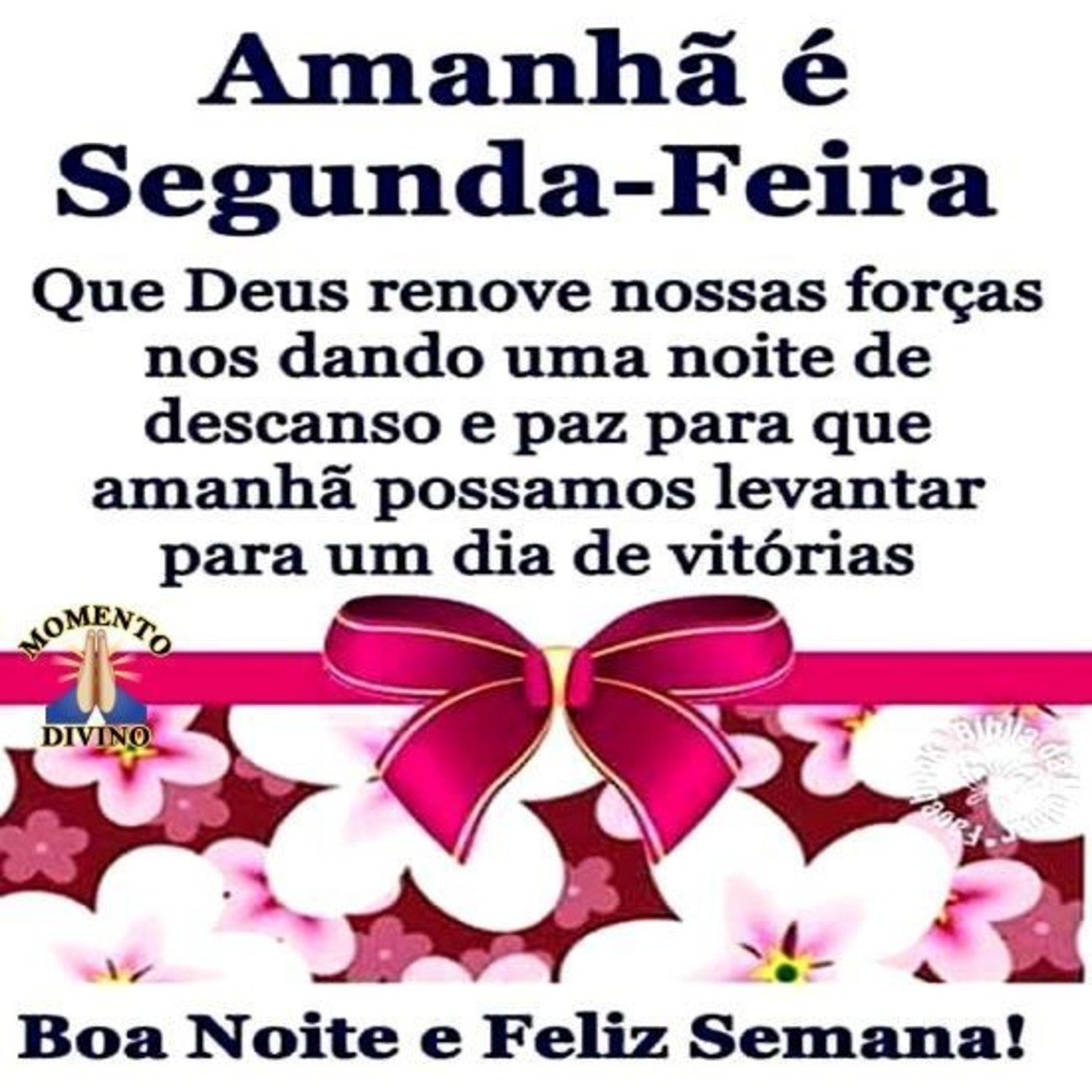 Feliz segunda feira bom dia 30