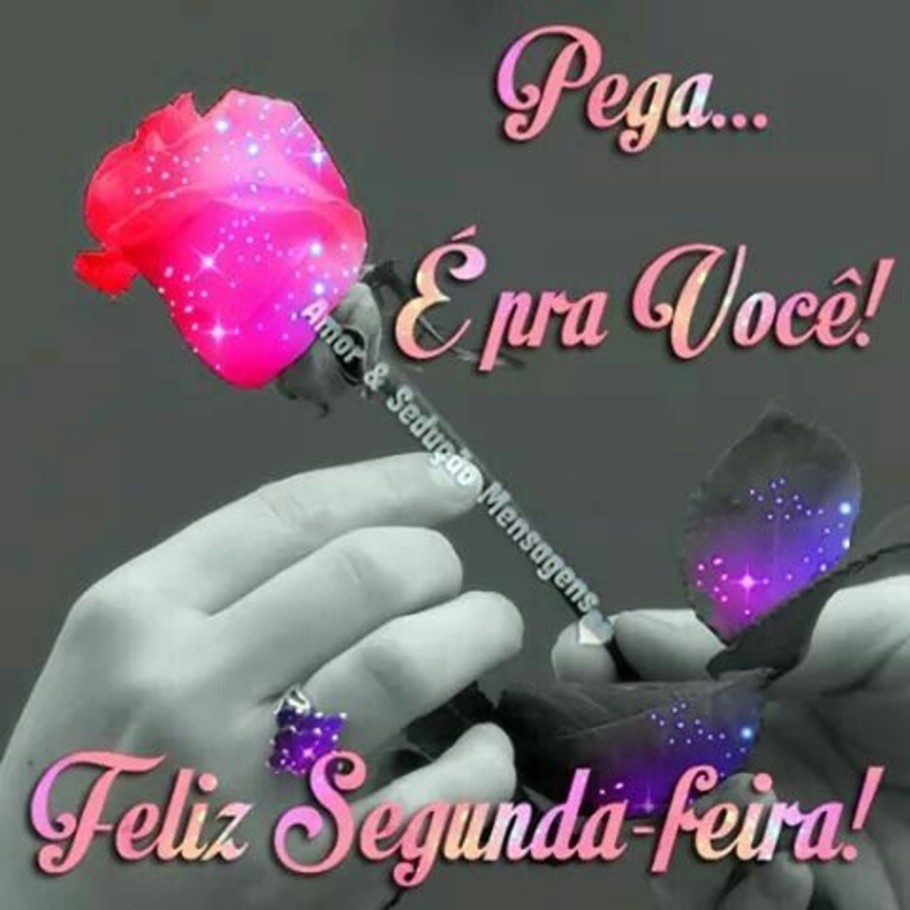 Feliz segunda feira bom dia 37 Feliz segunda feira bom dia 37