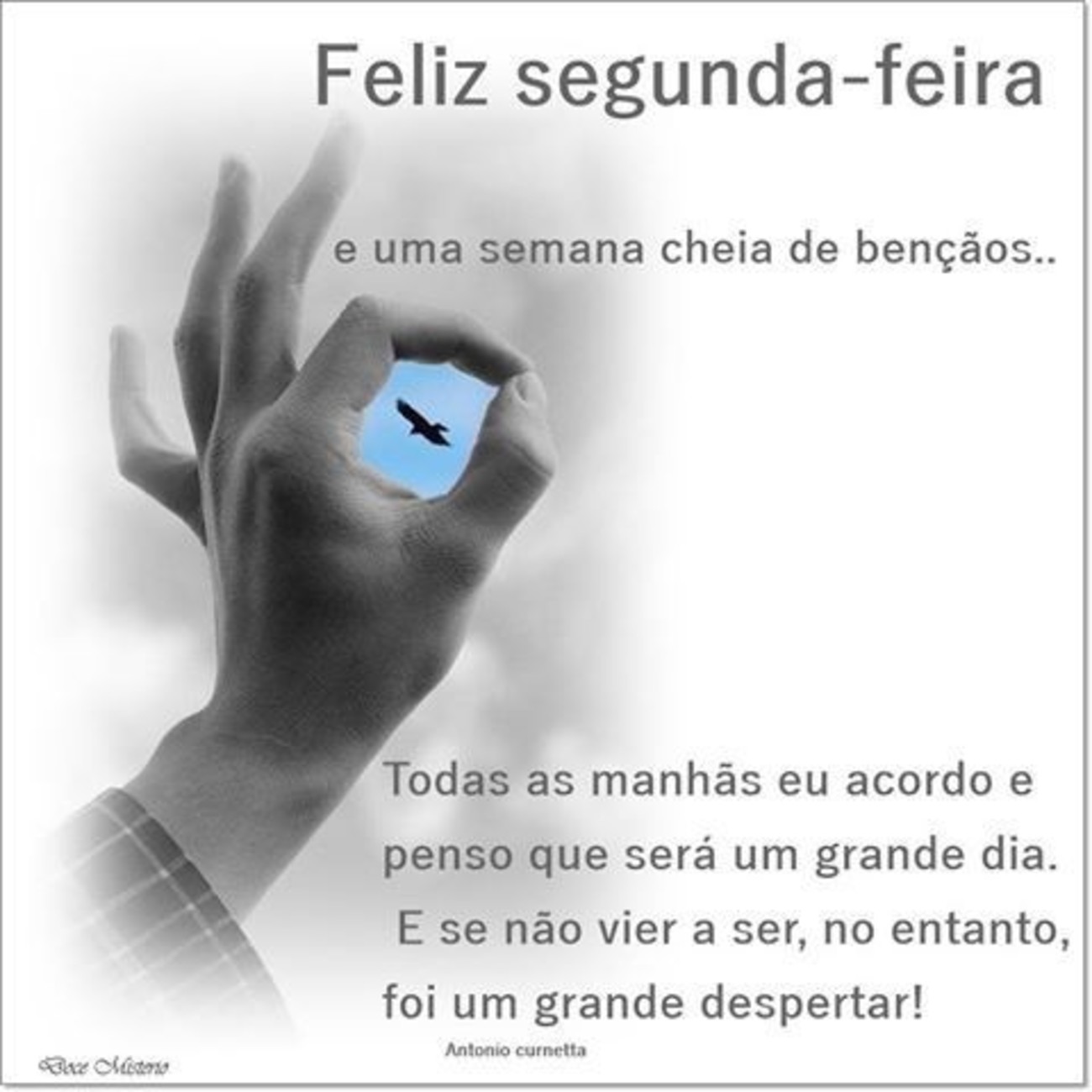 Feliz segunda feira e boa semana 49