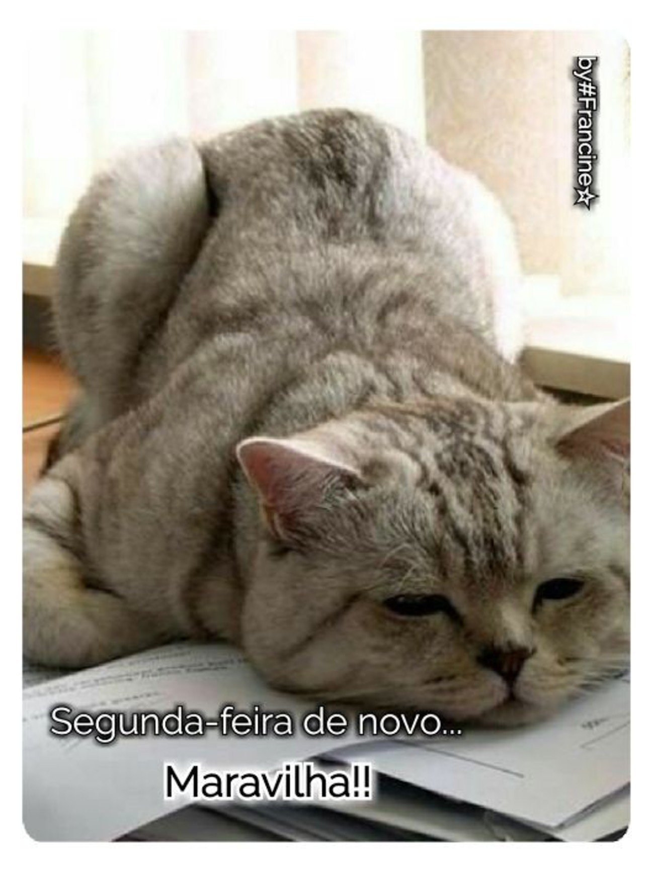 Feliz segunda feira e boa semana 54