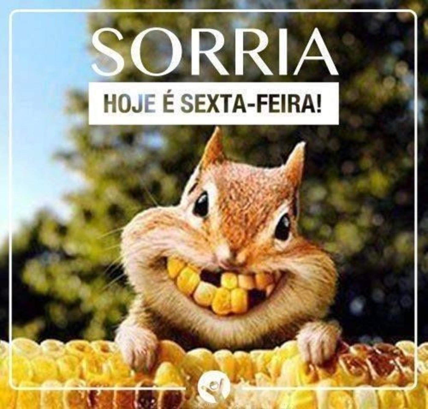 Feliz sexta feira bom final de semana 45