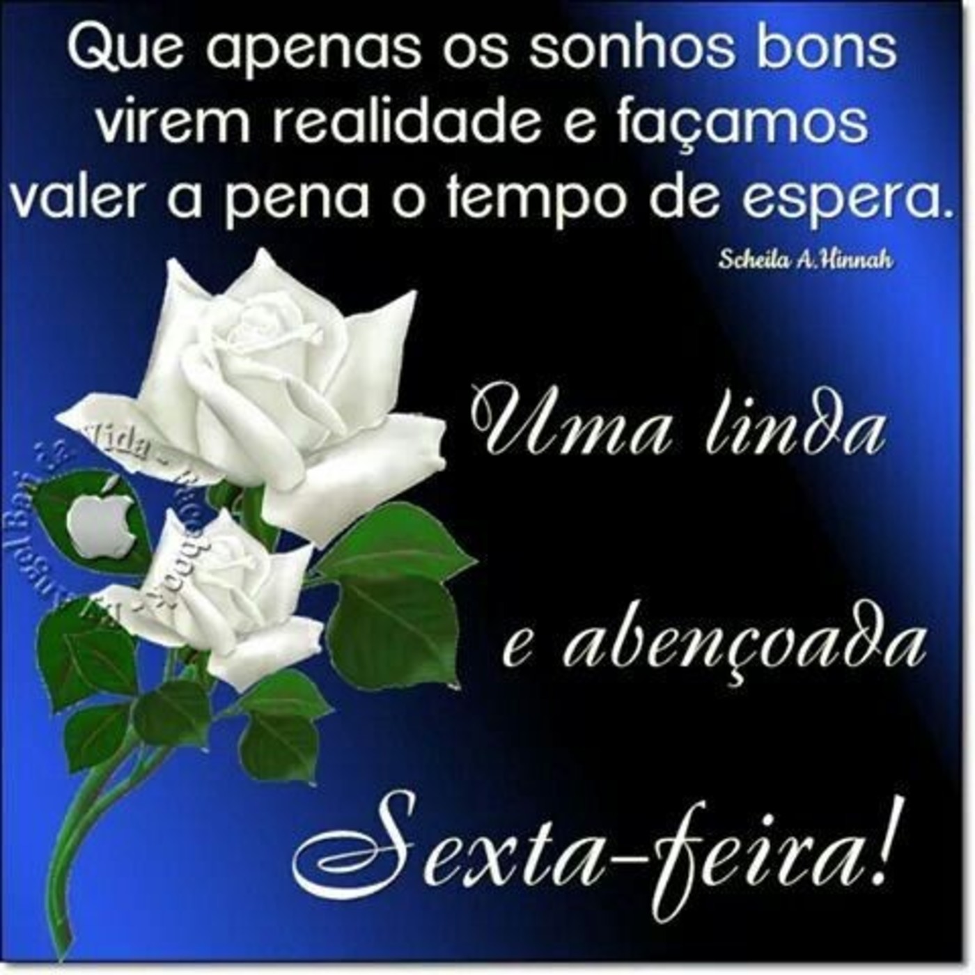 Feliz sexta feira e bom fim de semana 203