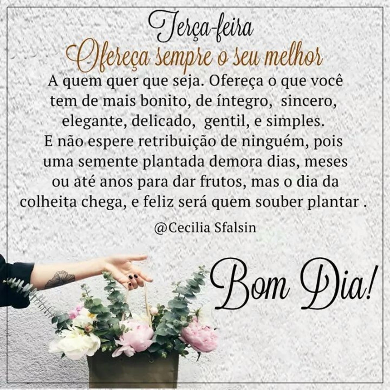 Feliz terça feira a todos Feliz terça feira a todos