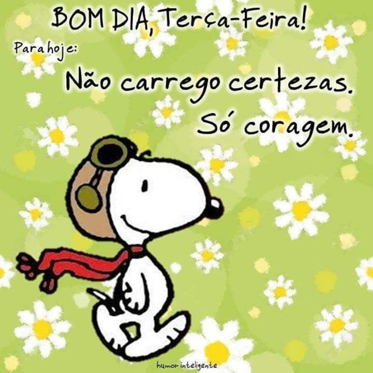Feliz terça feira WhatsApp 9