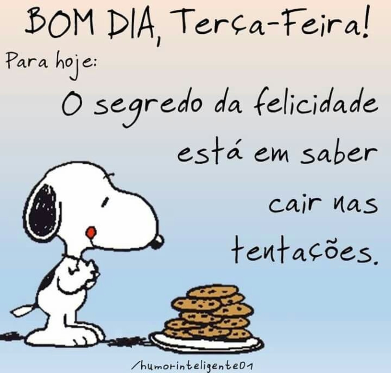 Feliz terça feira WhatsApp 95