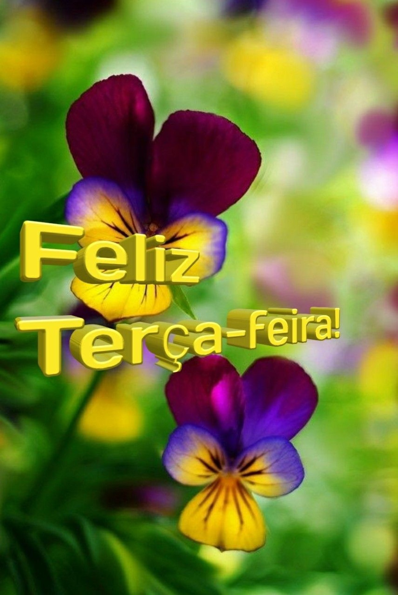 Feliz terça feira com flores 37