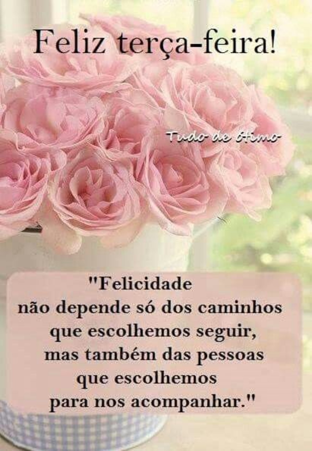 Feliz terça feira com flores 91