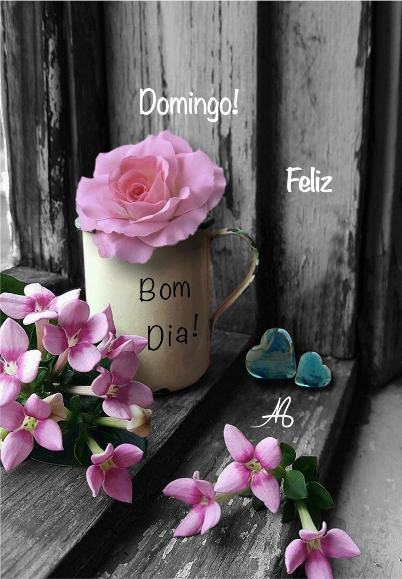 Fotos Feliz Domingo 177