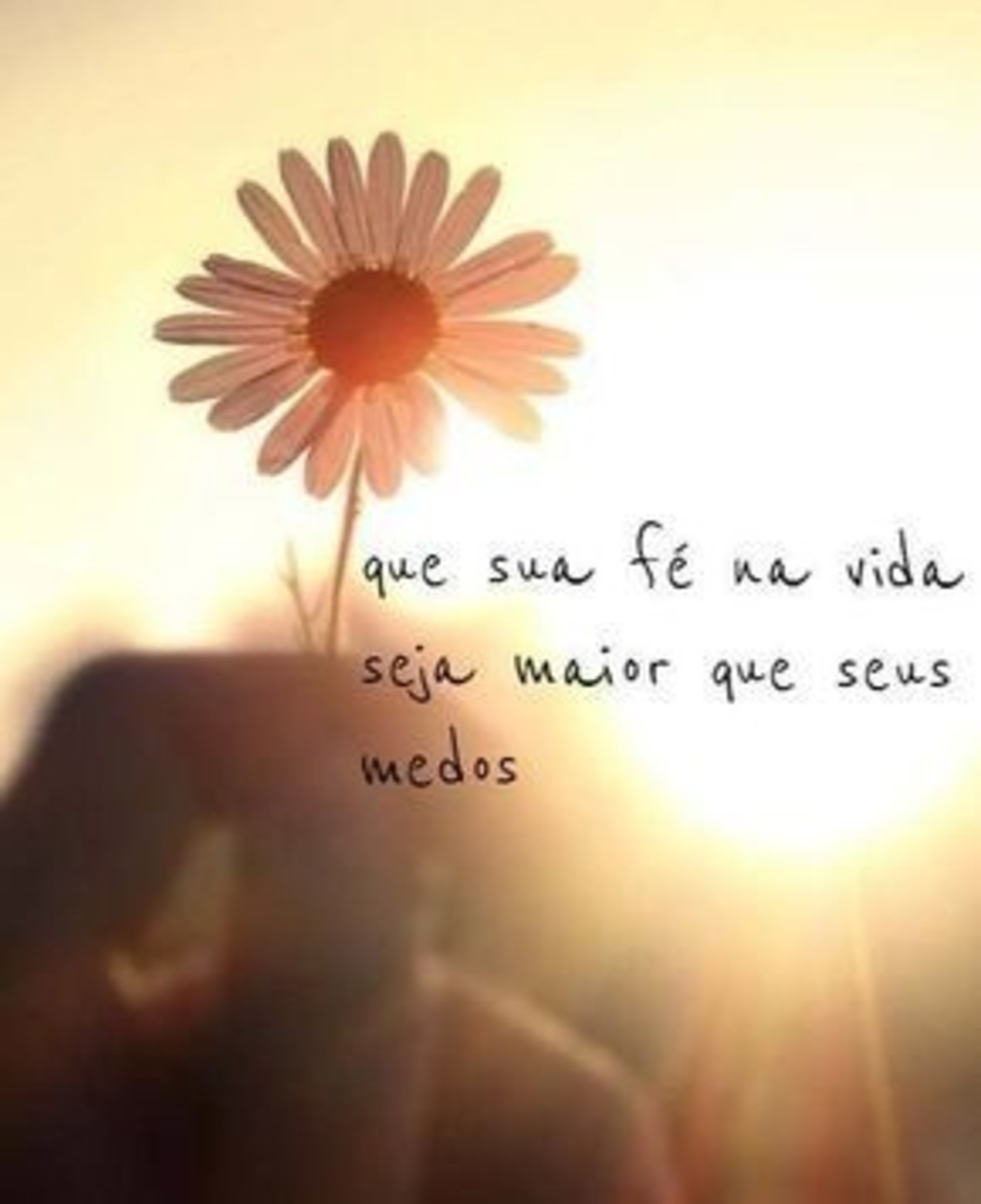 Fotos com frases belas 282