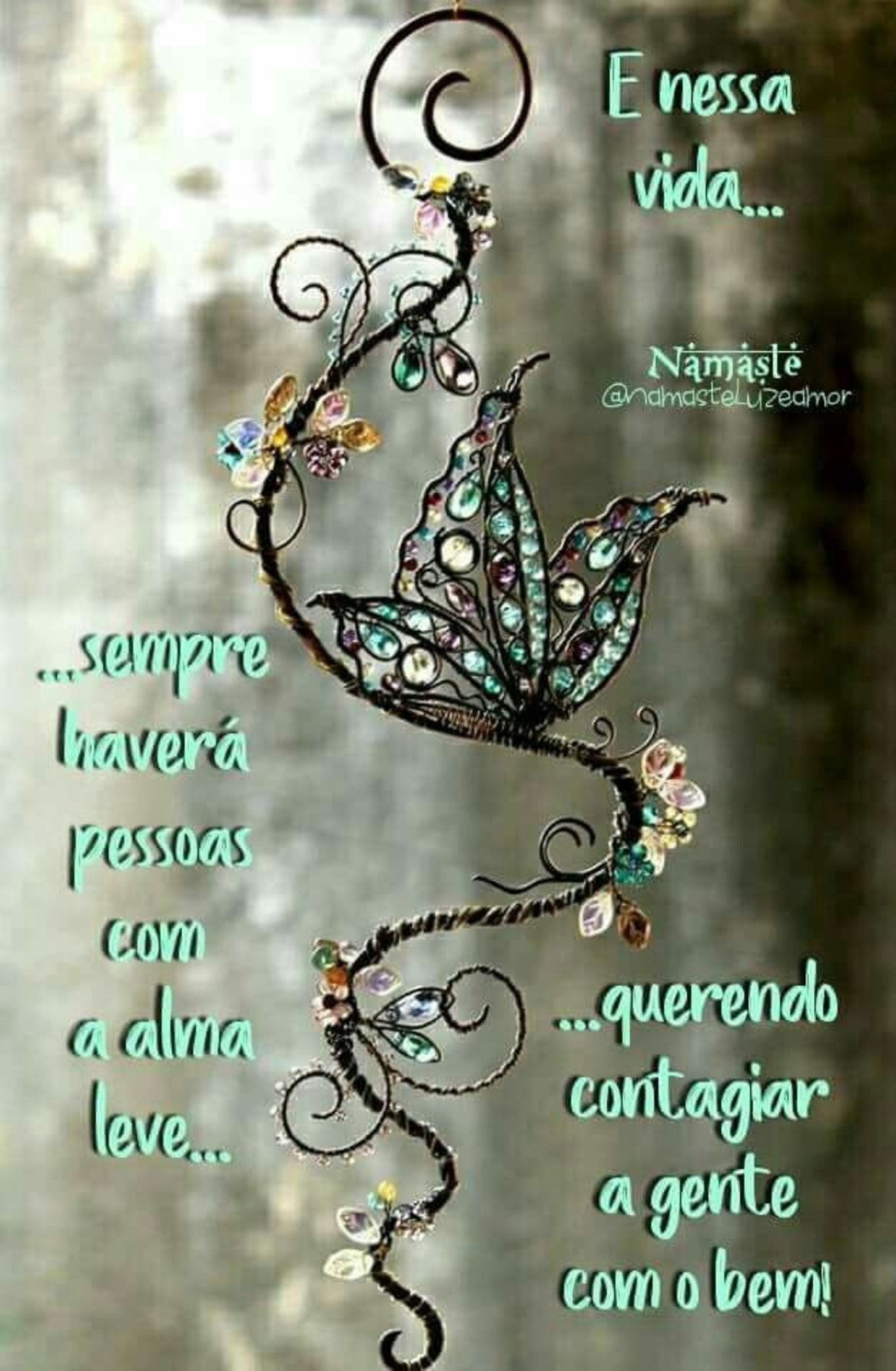 Fotos com frases belas 284