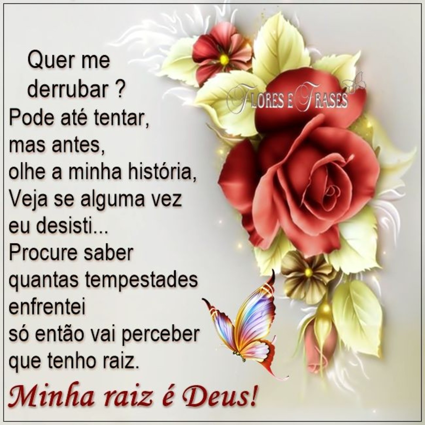 Fotos com frases belas 285