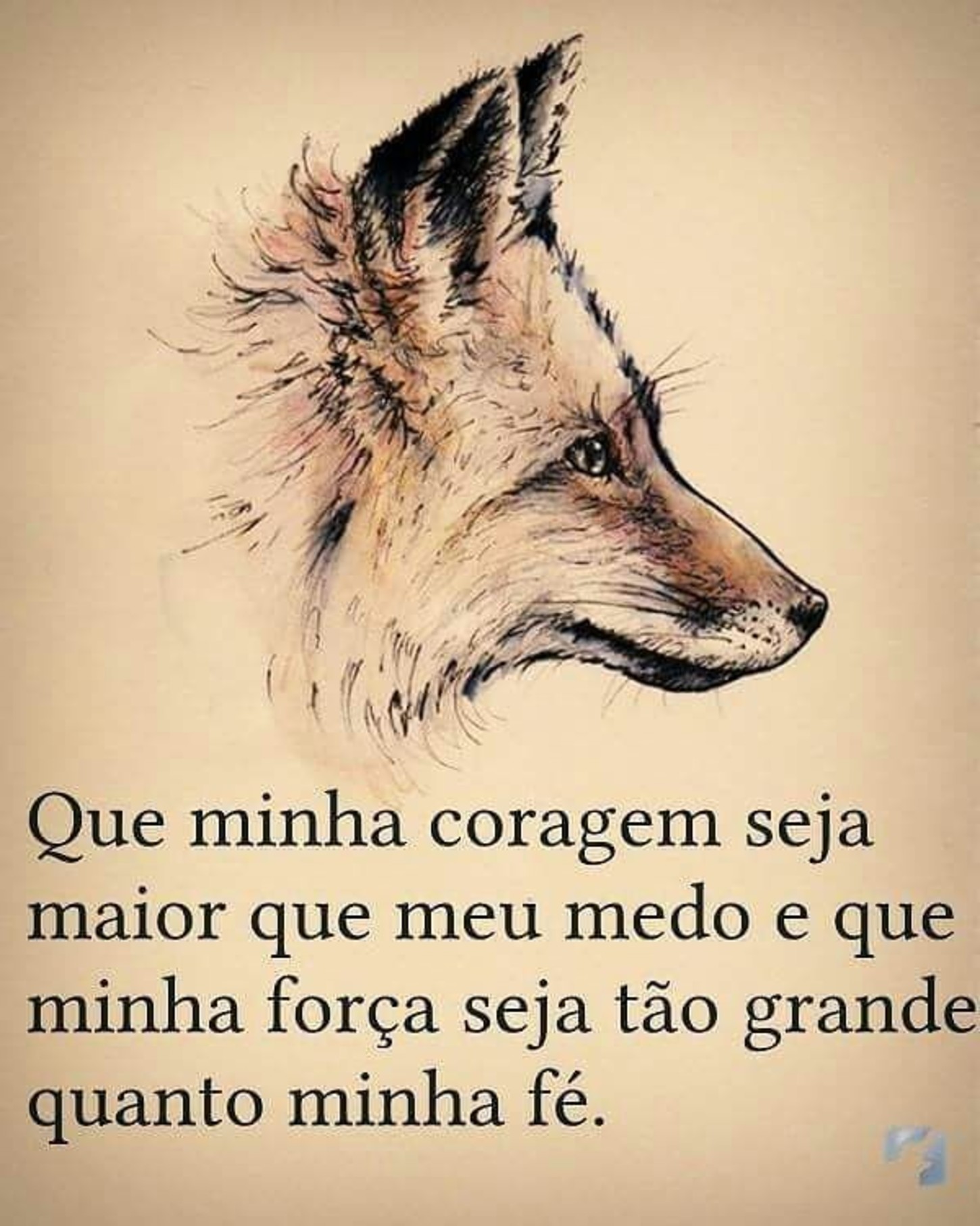 Fotos com frases belas 286