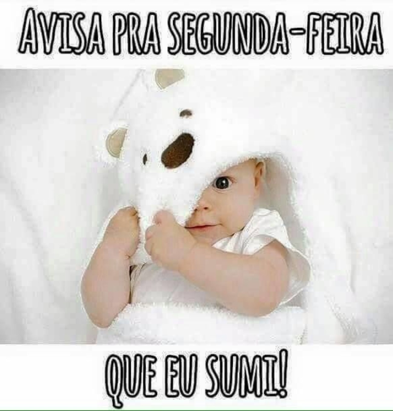 Fotos de Feliz Segunda-feira 207