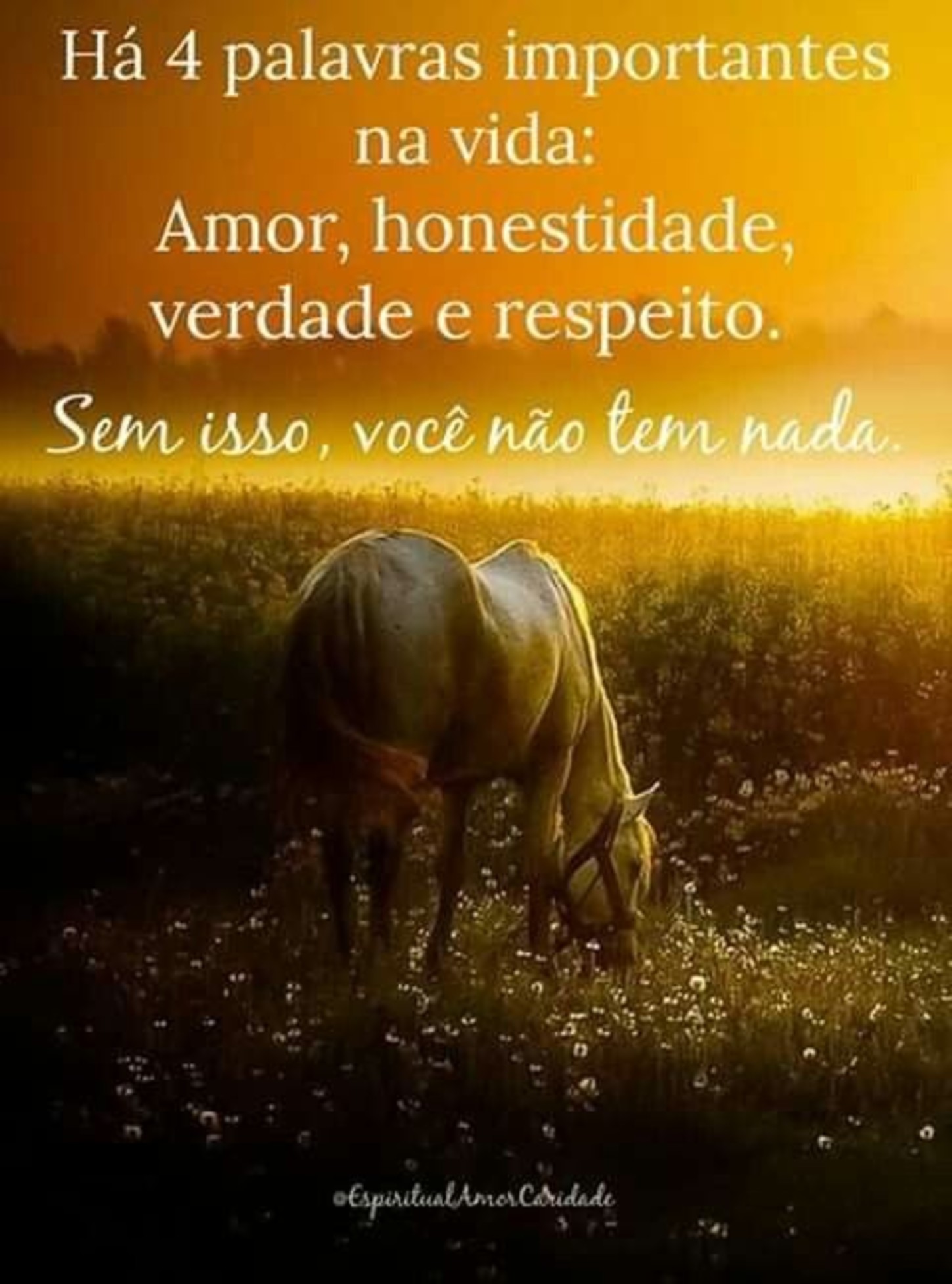 Frases 100