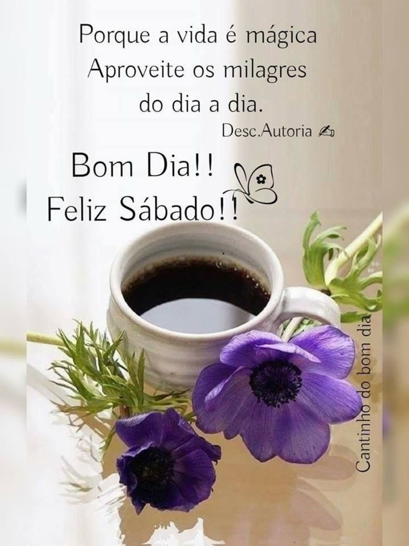 Frases Feliz Sábado Frases Feliz Sábado