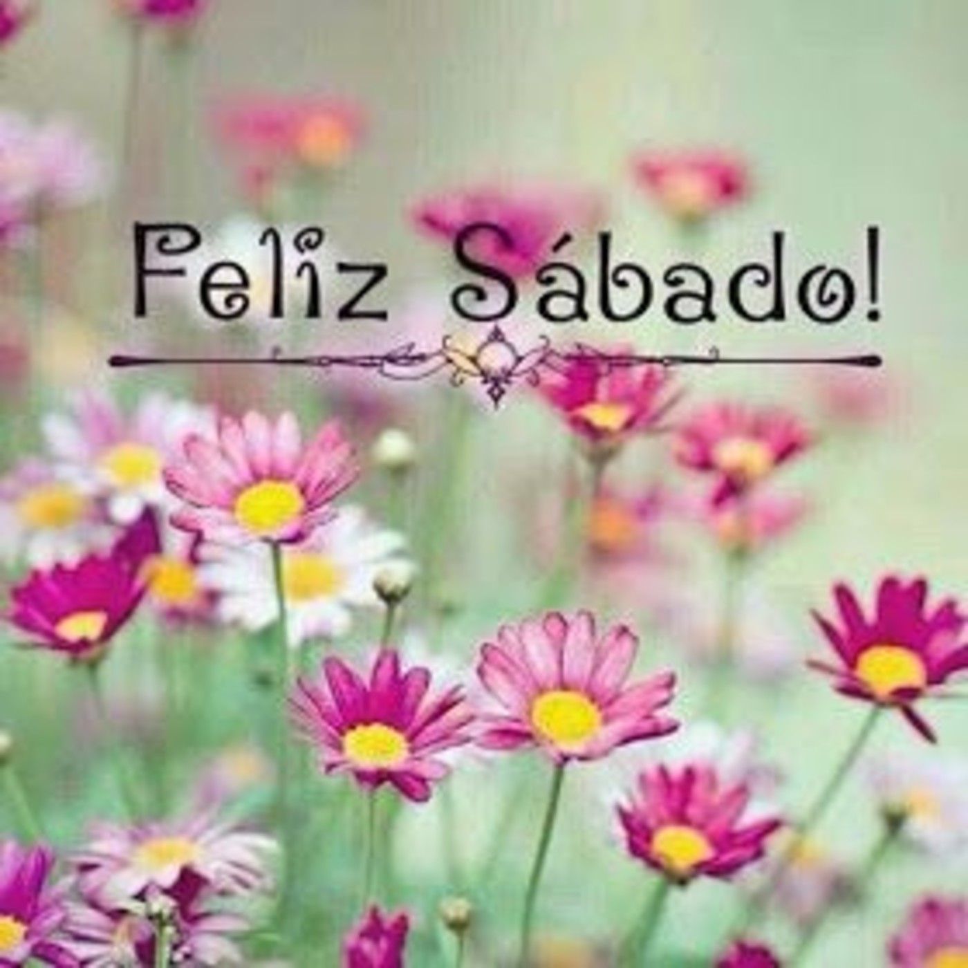Frases Feliz Sábado 211