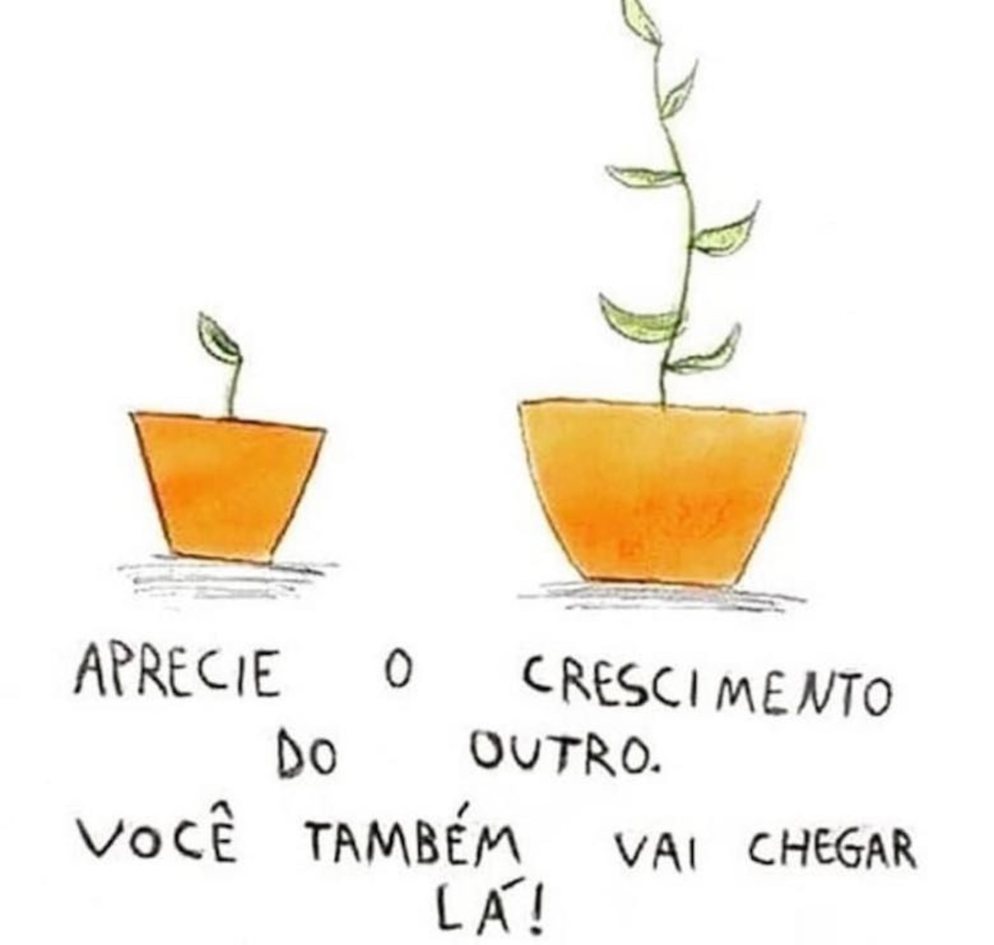 Frases belas da vida 236
