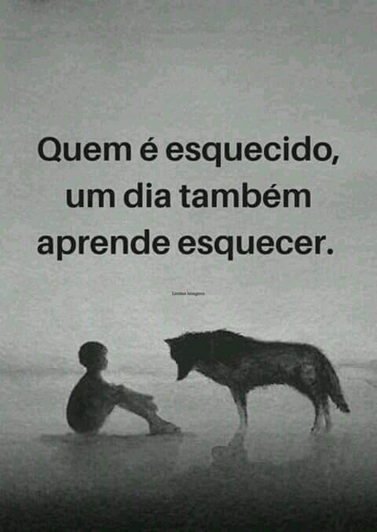 Frases belas e curtas 209