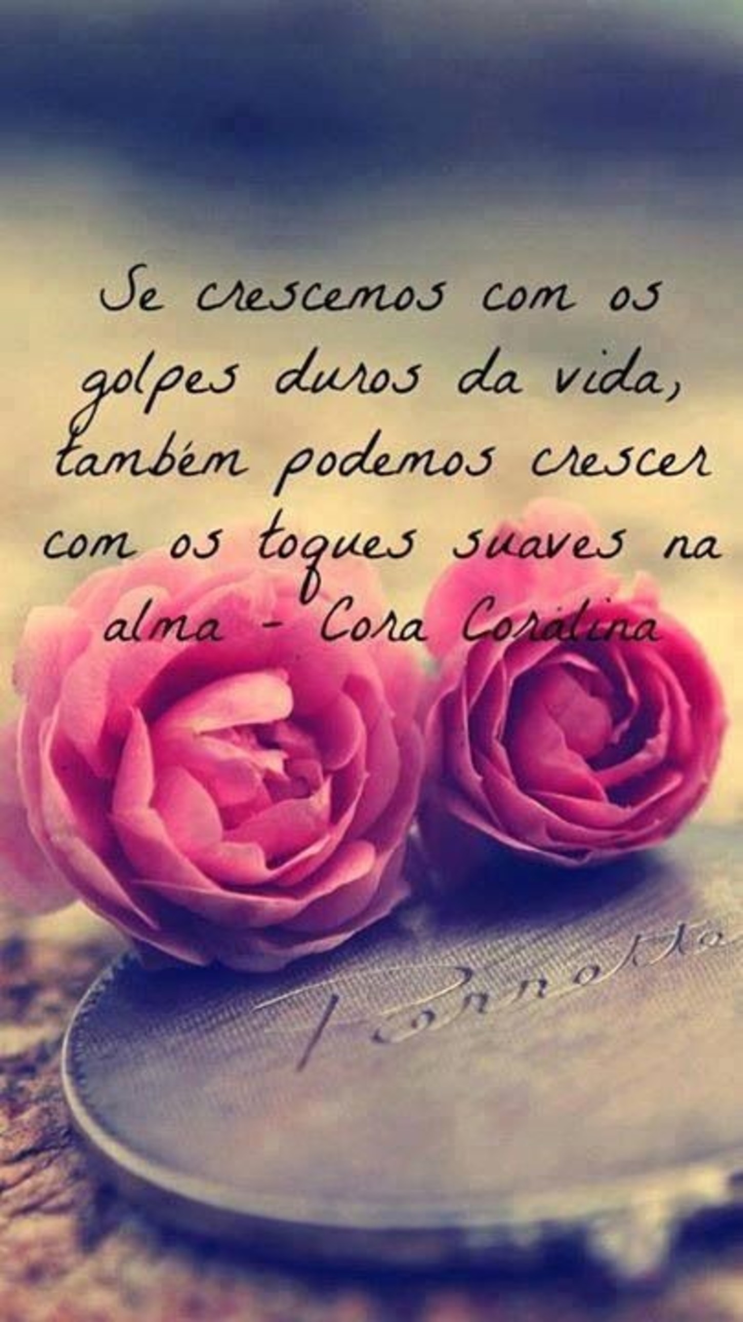 Frases belas lindas imagens fotos 391