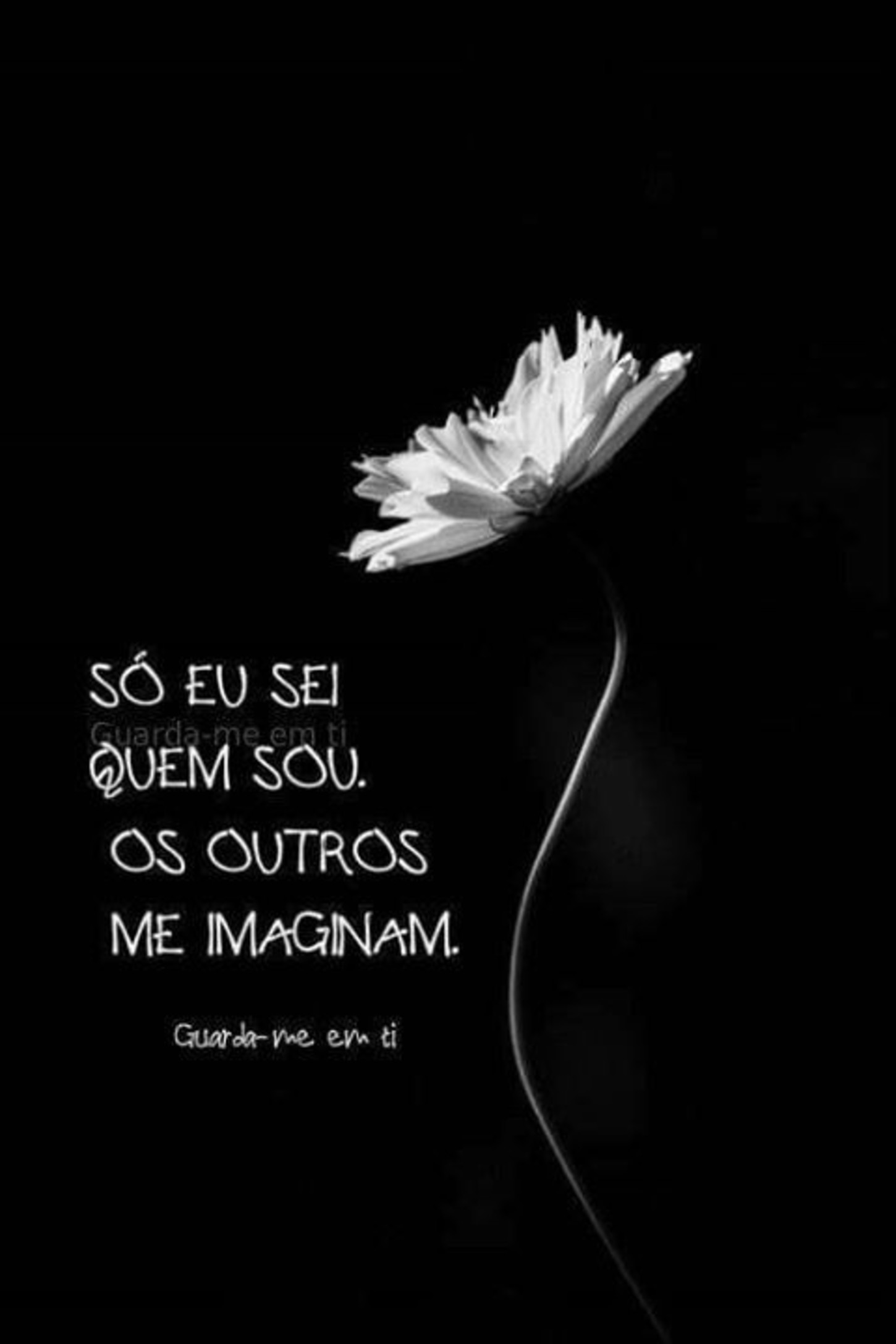 Frases bonitas de reflexão 104