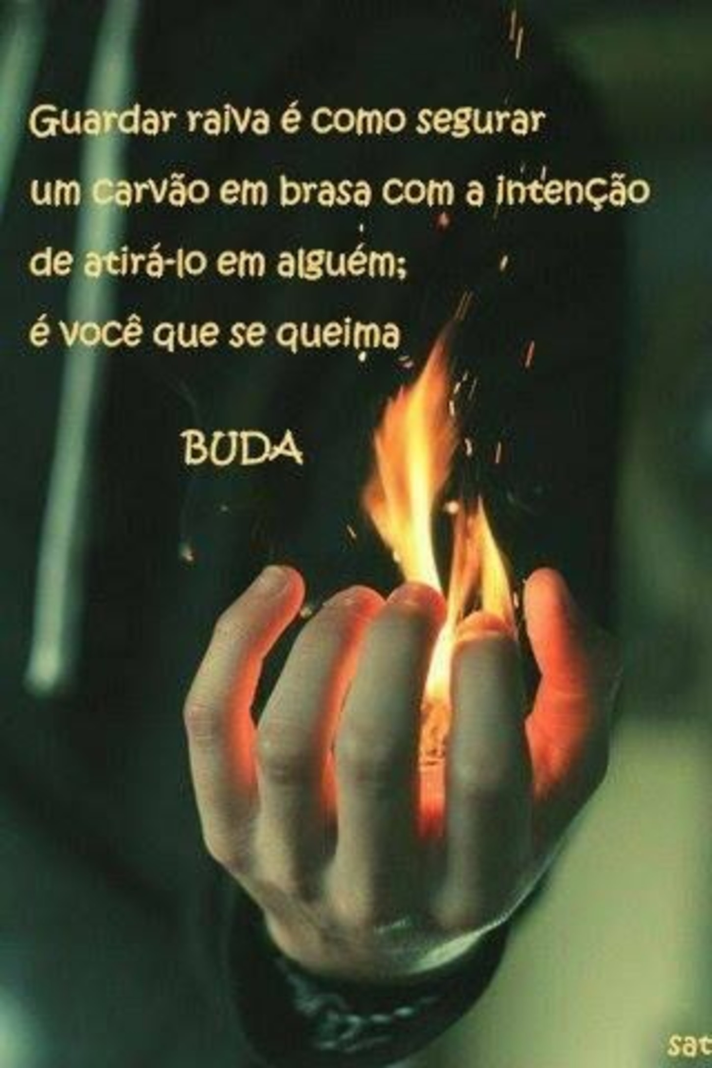 Frases com imagens de Buda 2