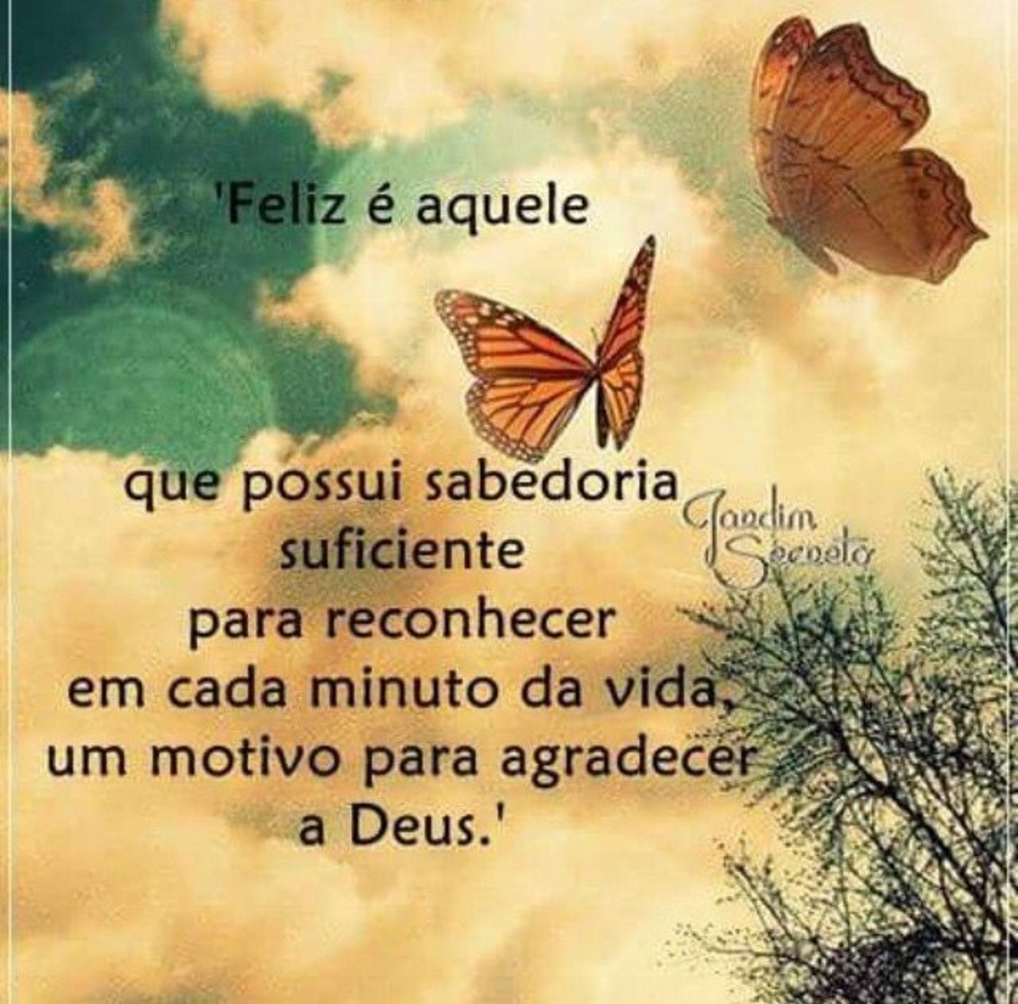 Frases imagens bonitas 315