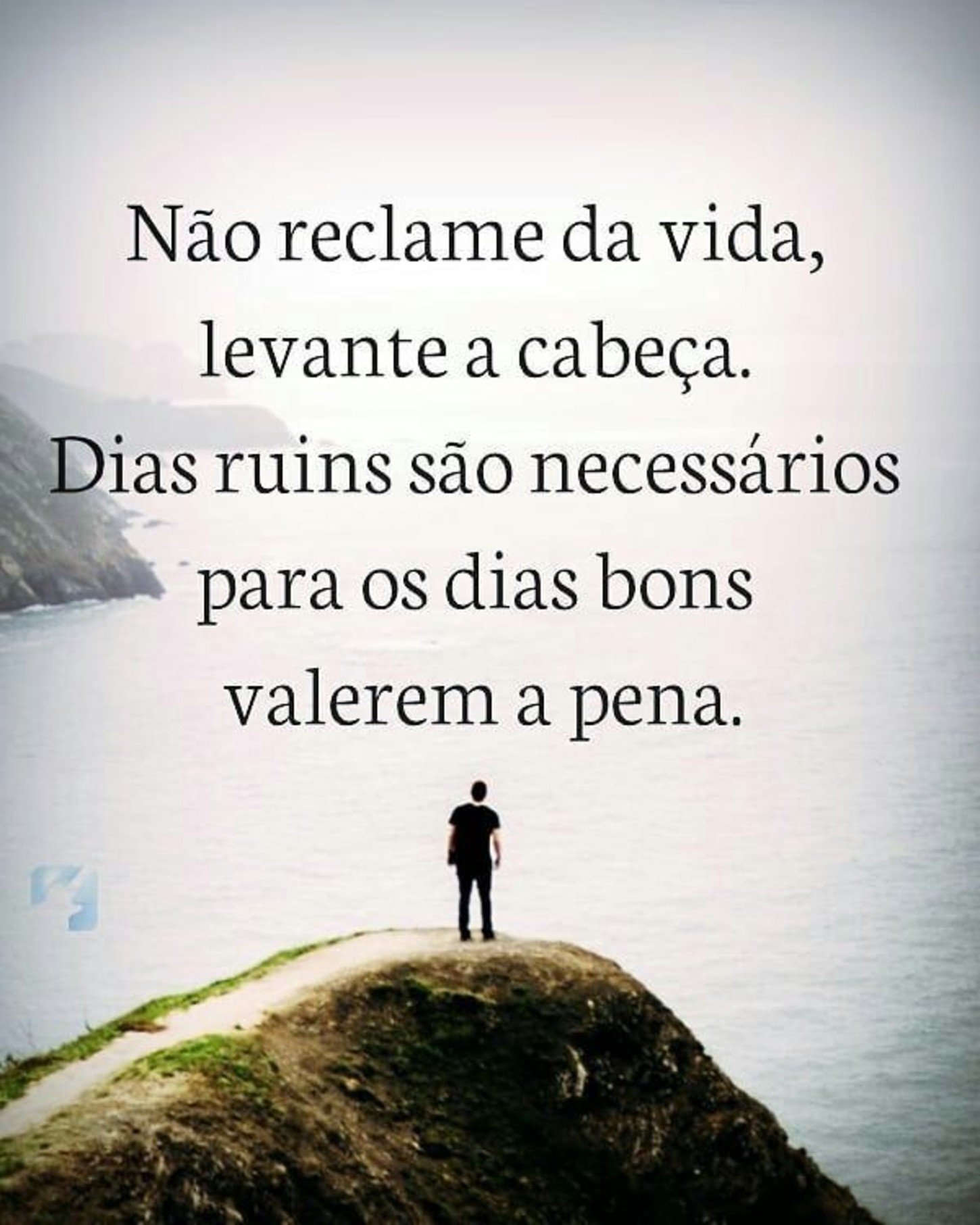 Frases imagens bonitas 320