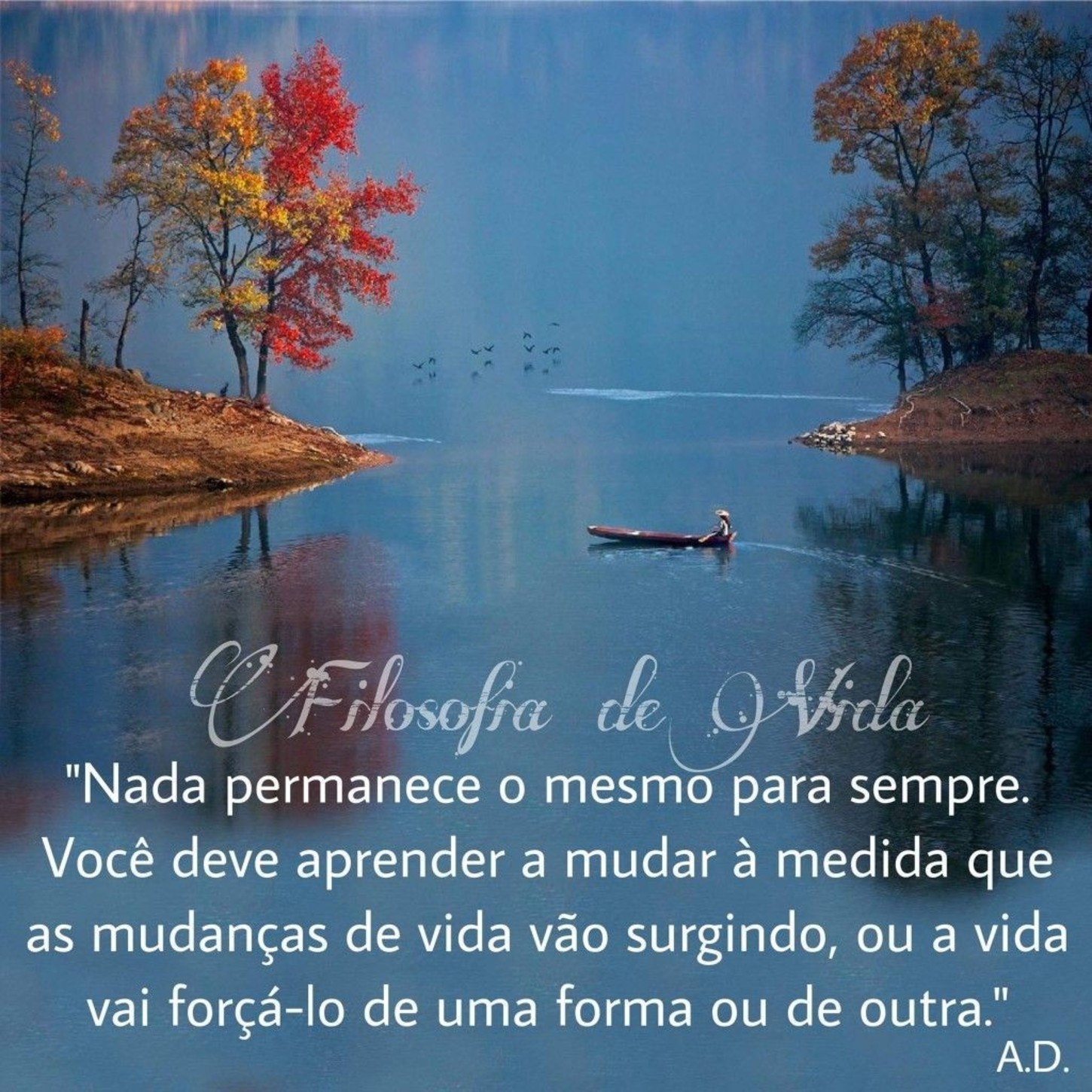 Frases imagens de reflexão 31
