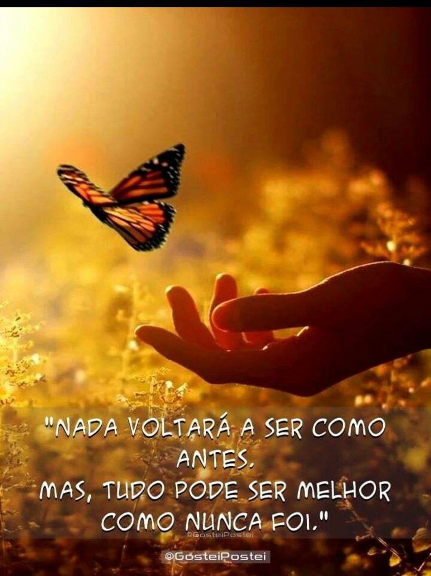 Frases imagens fotos para baixar Facebook WhatsApp 386