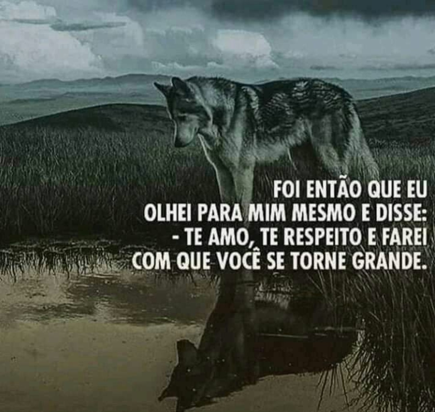 Frases imagens fotos para baixar Facebook WhatsApp 390
