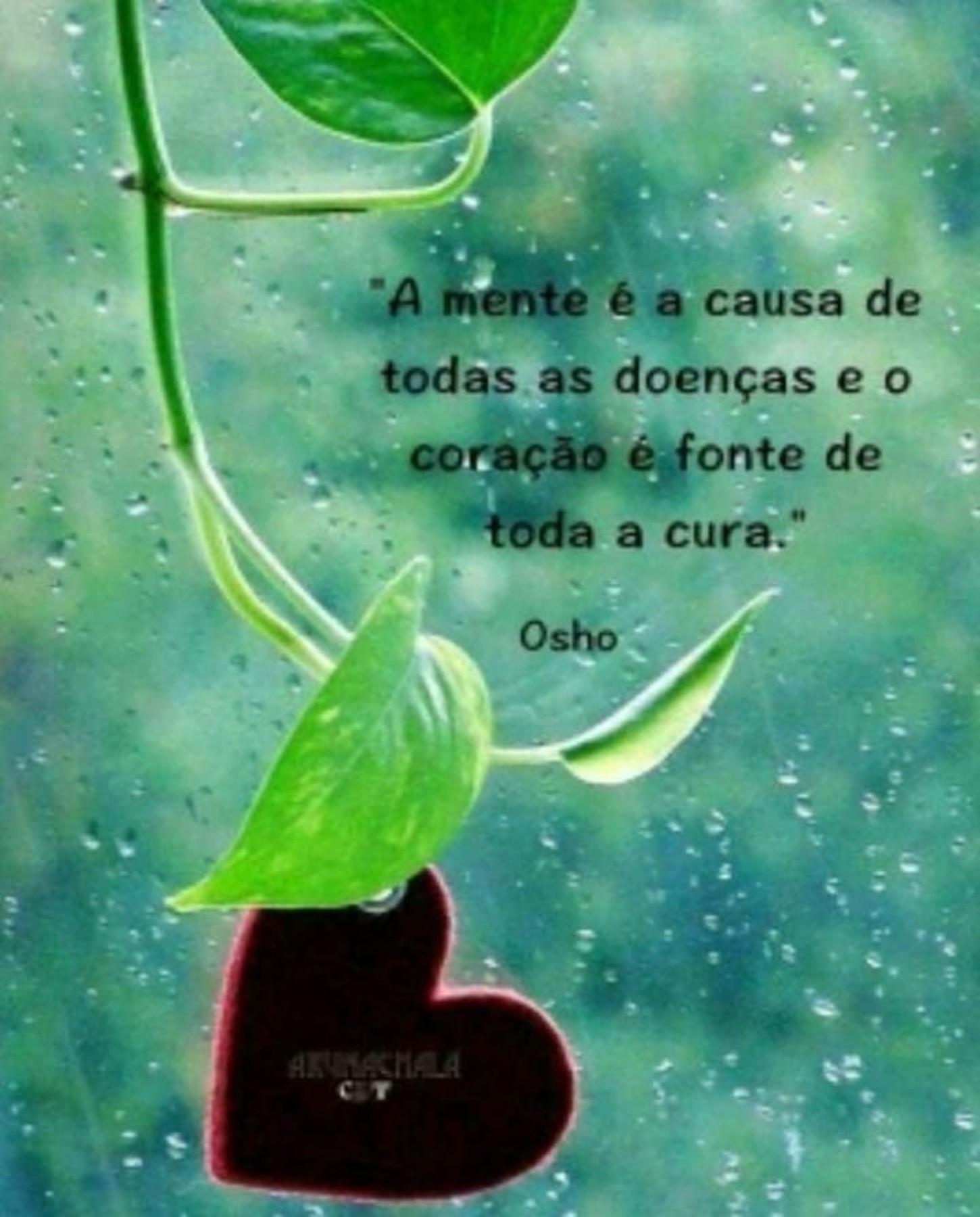 Frases imagens para WhatsApp 330
