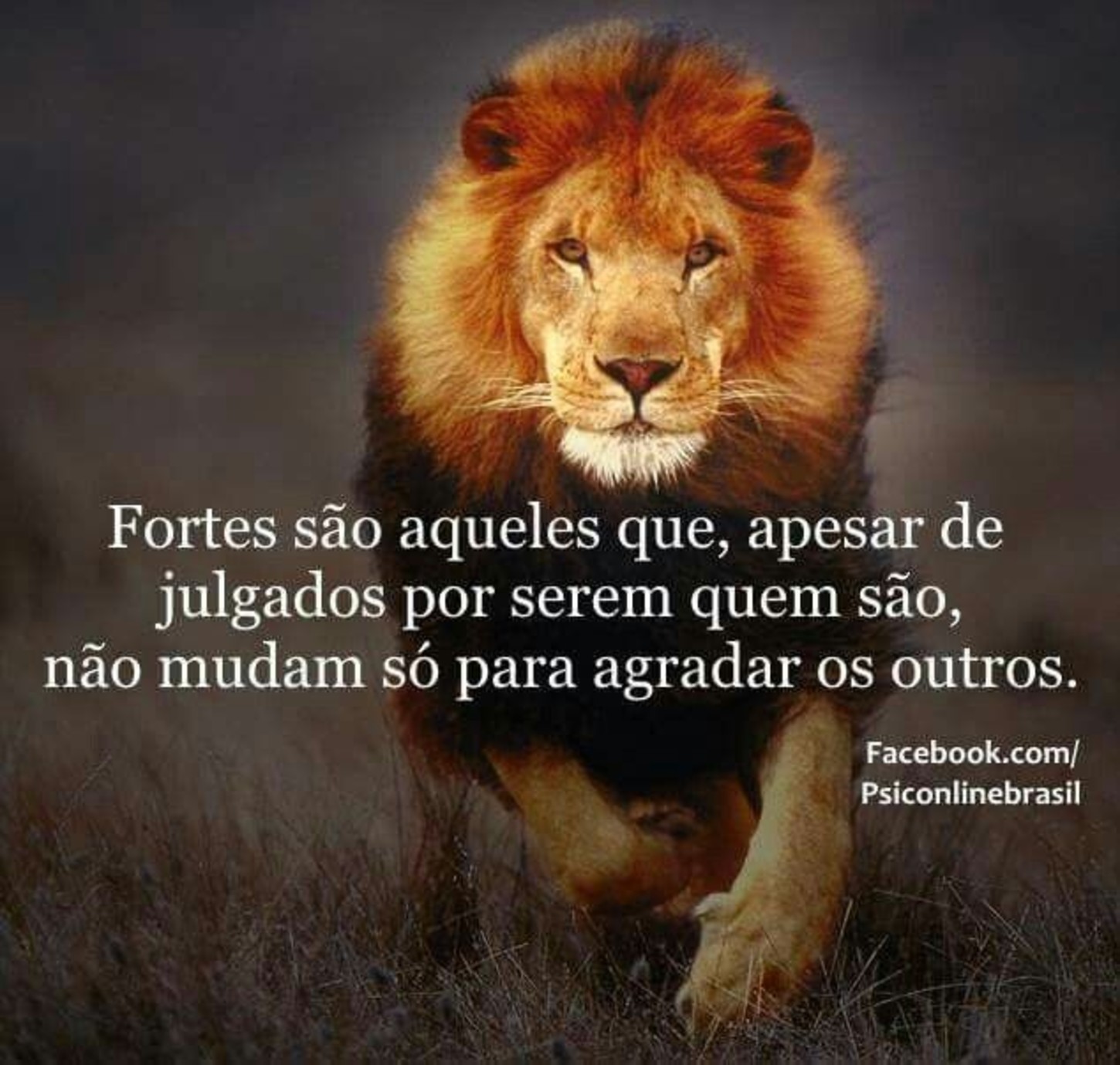 Frases imagens para status 295