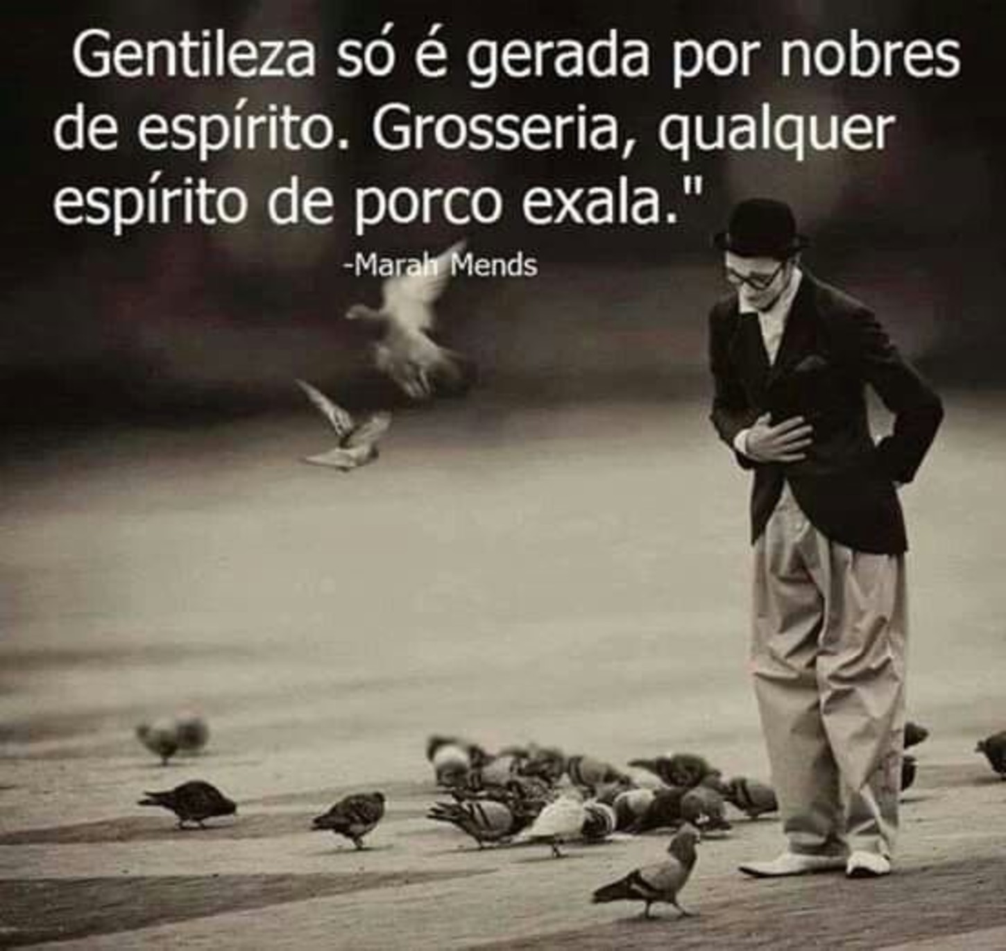 Frases imagens para status 297