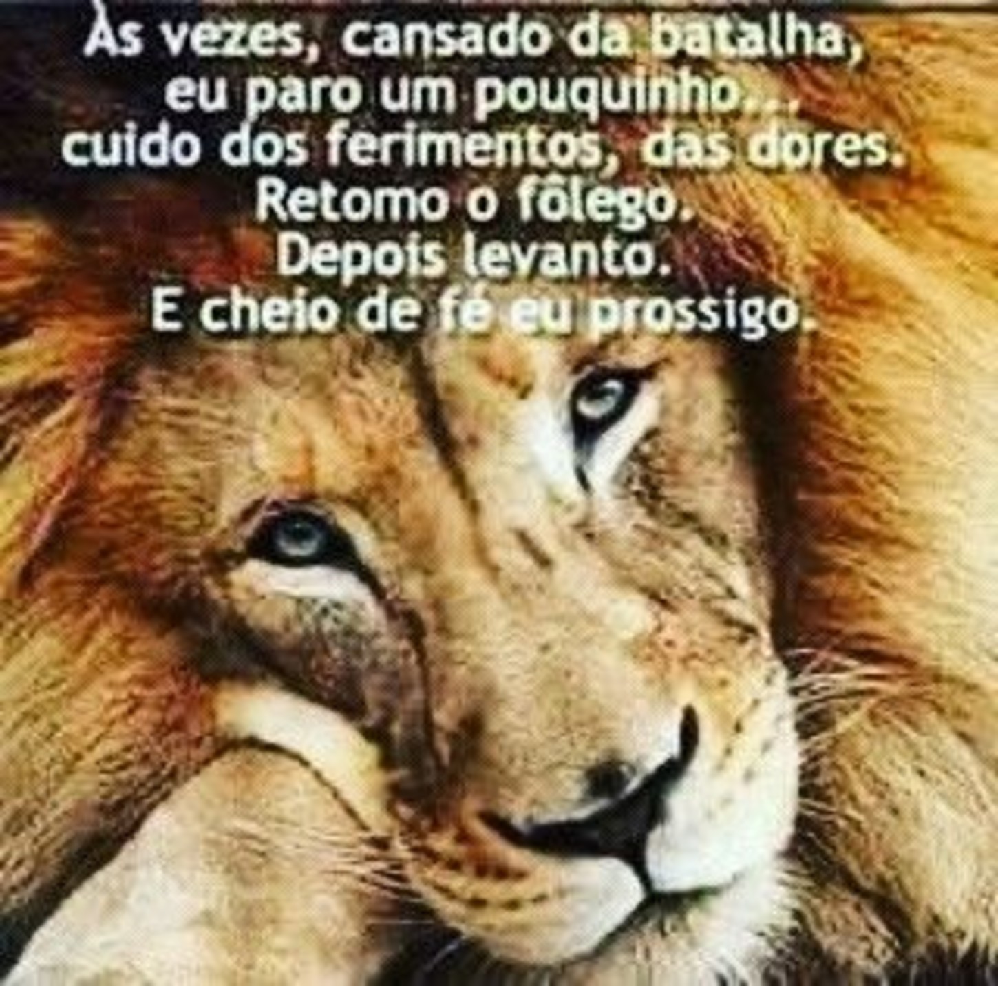 Frases imagens para status 3