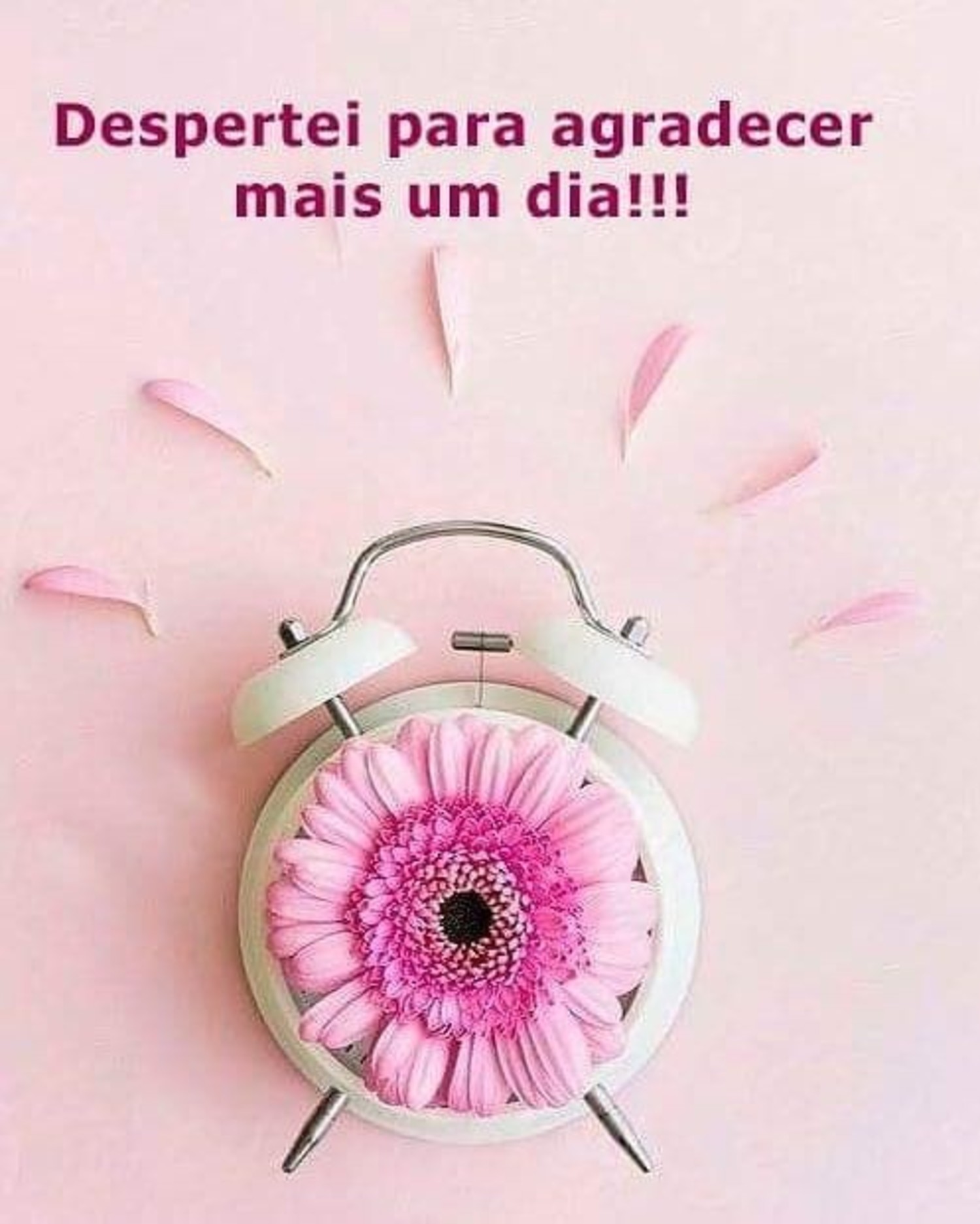 Frases lindas para Bom Dia 355