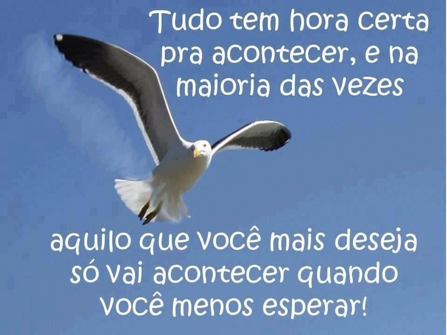 Frases para o WhatsApp bonitas 185