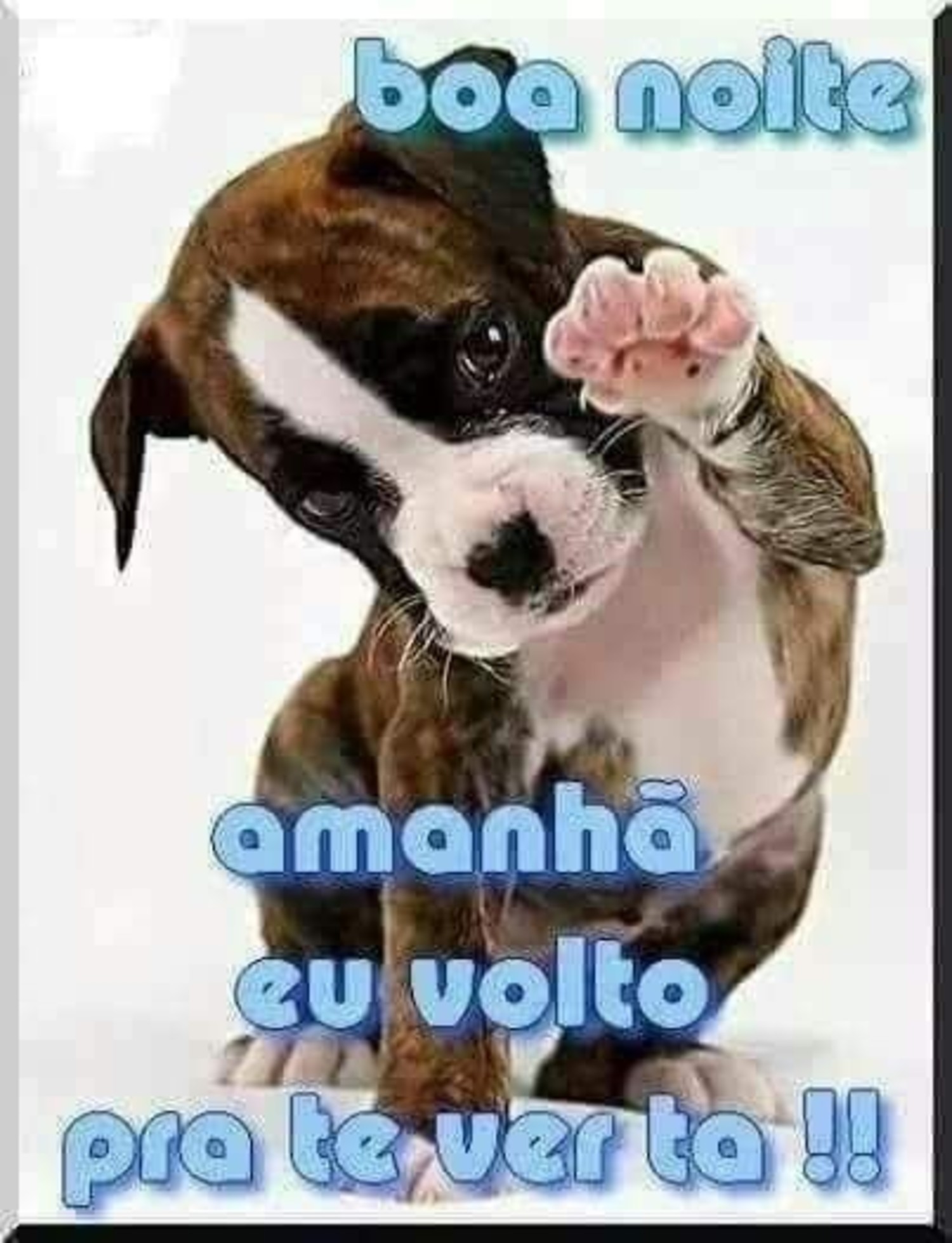 Imagens Fotos Boa Noite Baixar Facebook Whatsapp 414