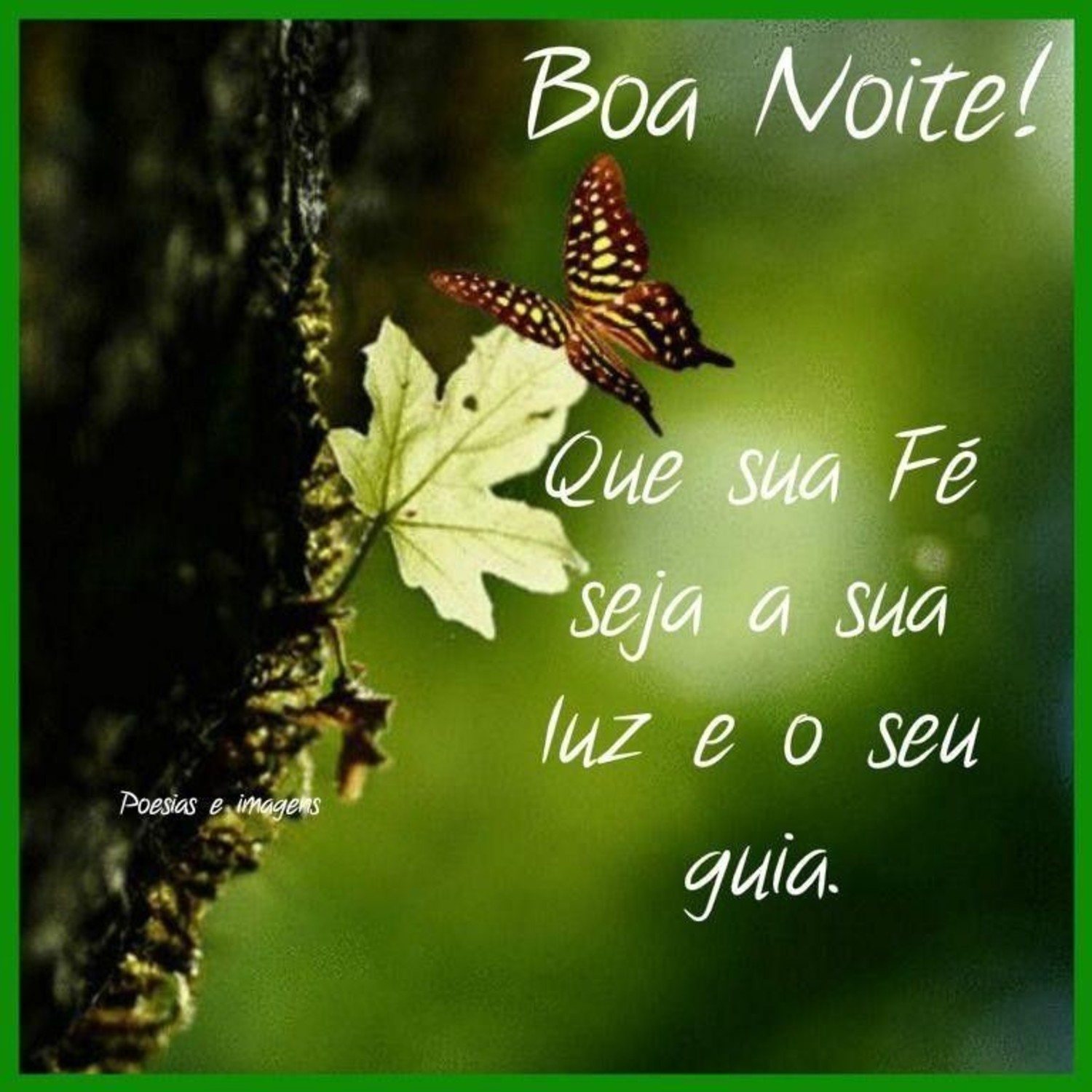 Imagens Fotos Boa Noite Baixar Facebook Whatsapp 417