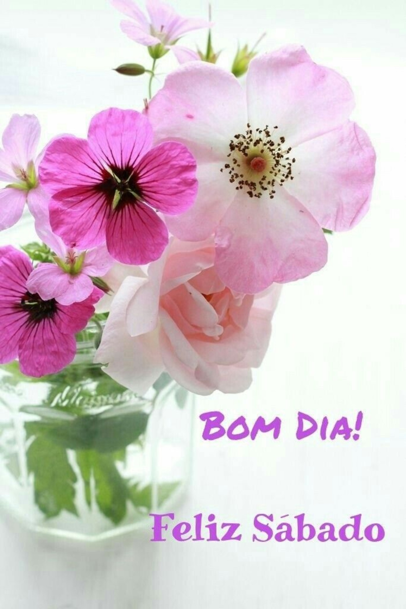 Feliz Sábado Archives - Página 18 de 58 Feliz Sábado Archives - Página 18 de 58