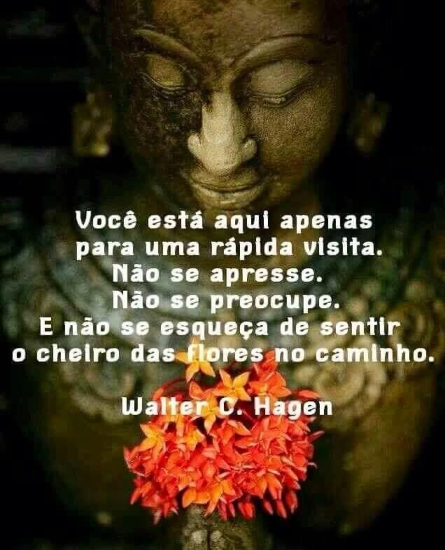 Imagens com mensagens 147