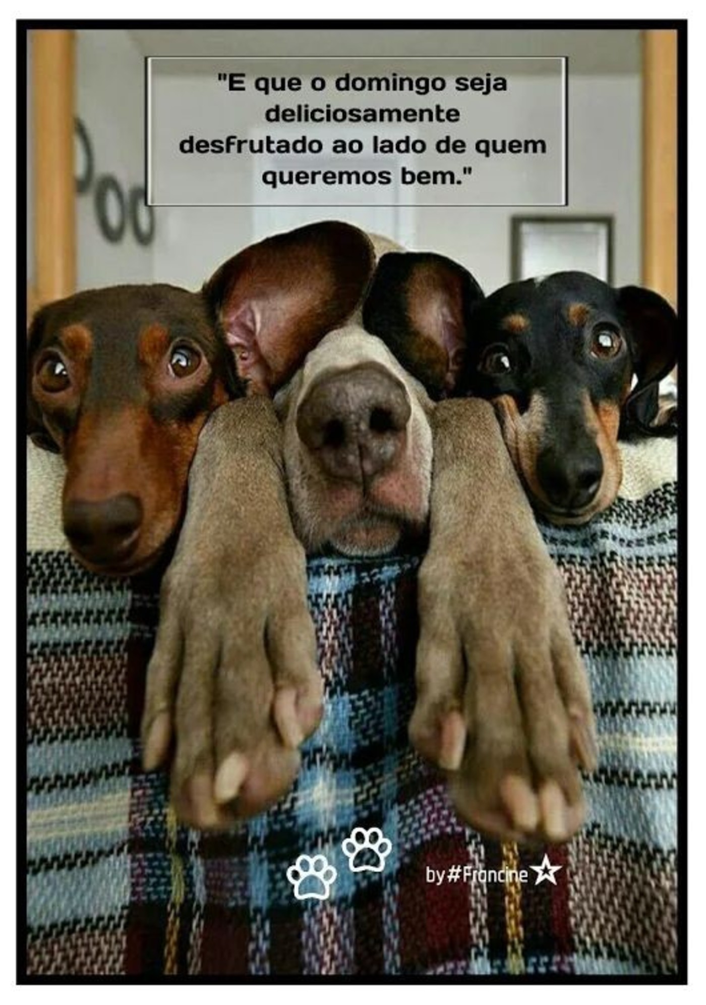 Imagens de feliz domingo final de semana para o Facebook 329