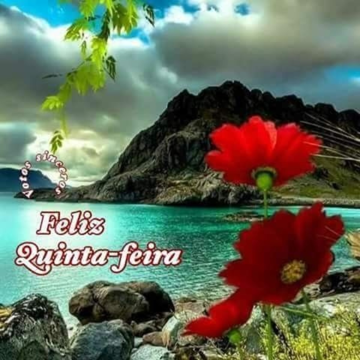 Imagens de feliz quinta feira 8