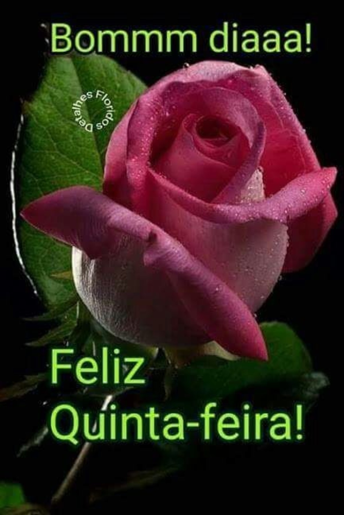 Imagens de feliz quinta feira 80