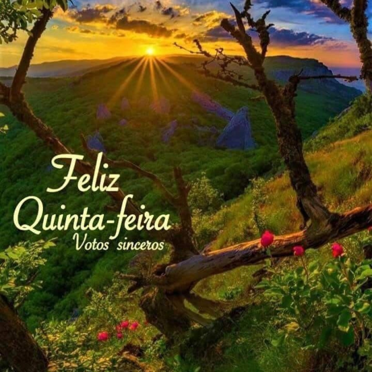 Imagens de feliz quinta feira 9