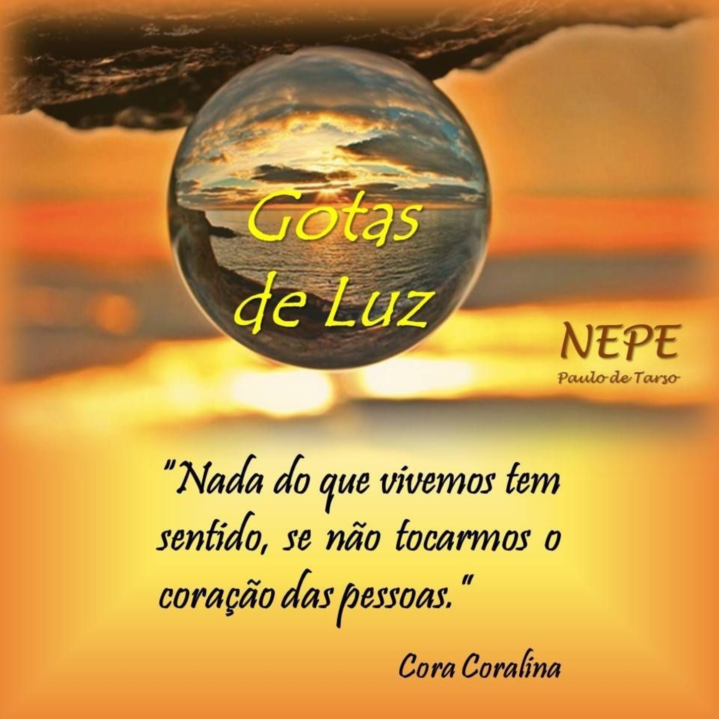 Imagens frases 356