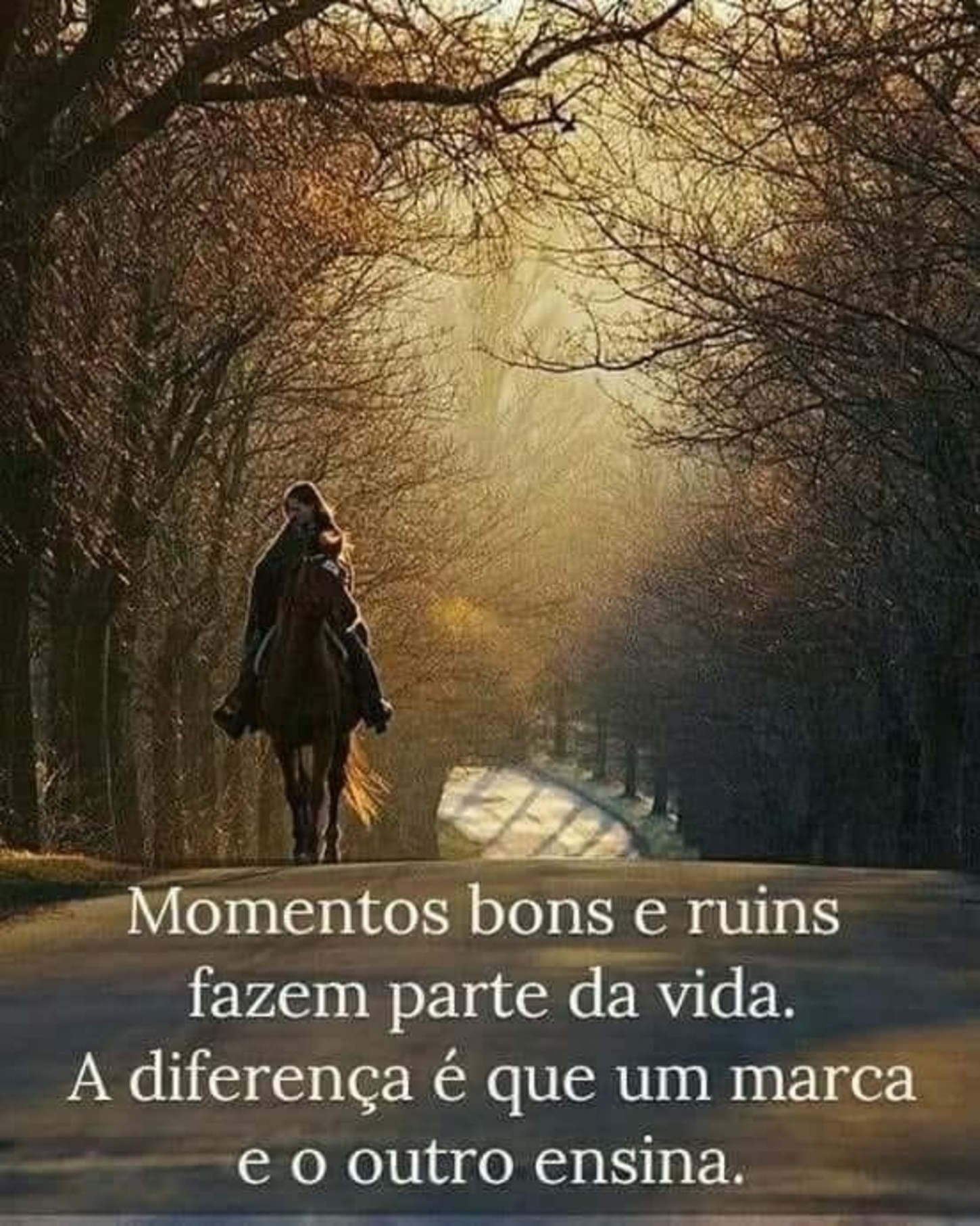 Imagens frases Facebook 472